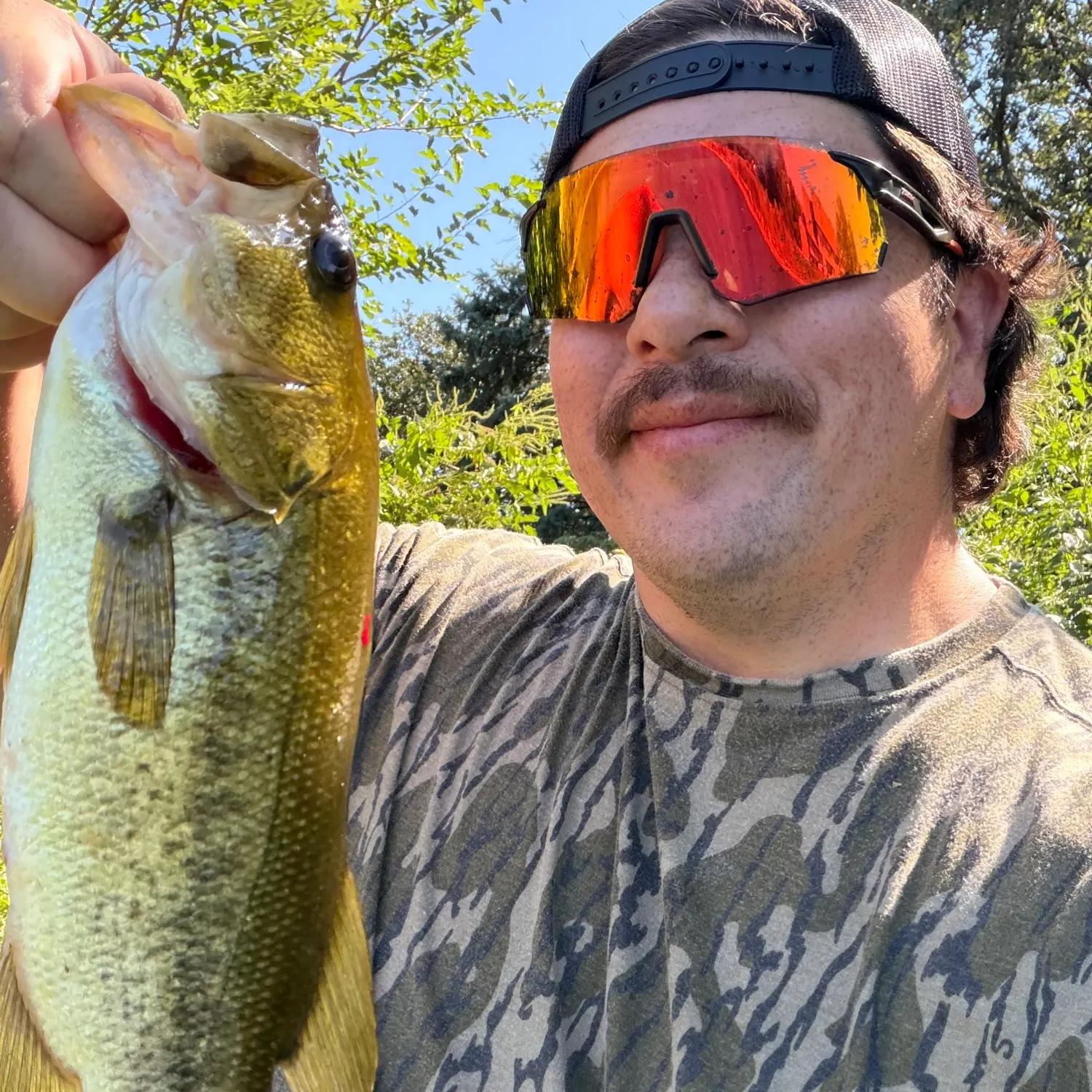Largemouth bass caught on Fishbrain