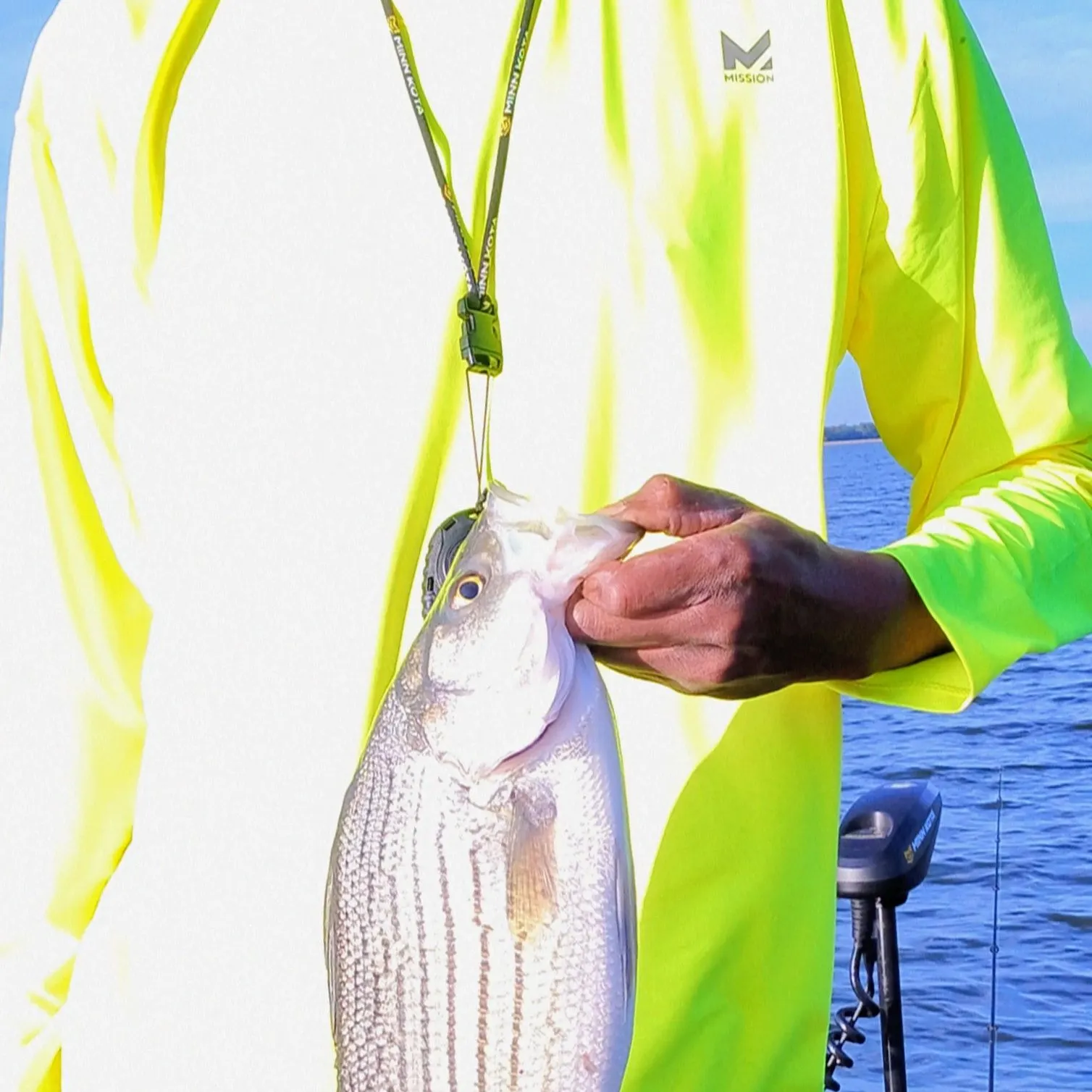 Wiper caught on Fishbrain