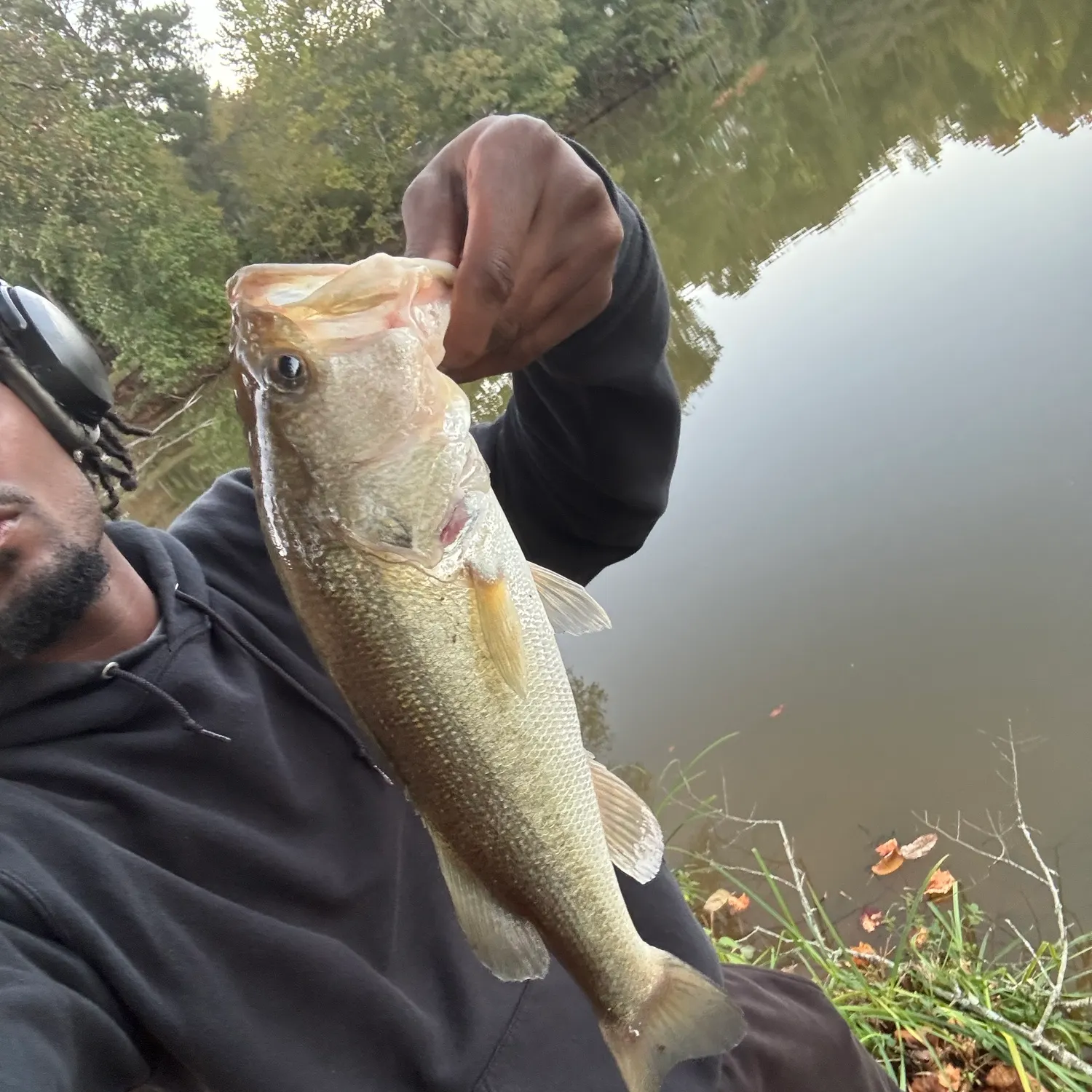 Largemouth bass caught on Fishbrain