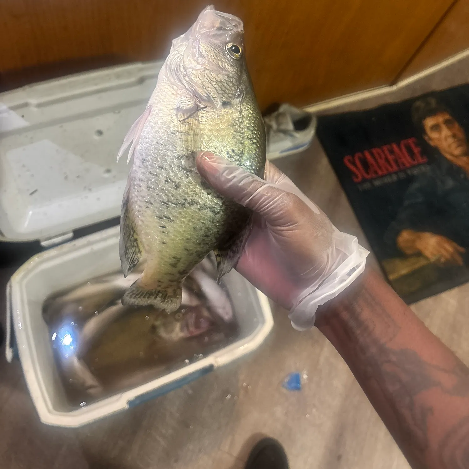 catch