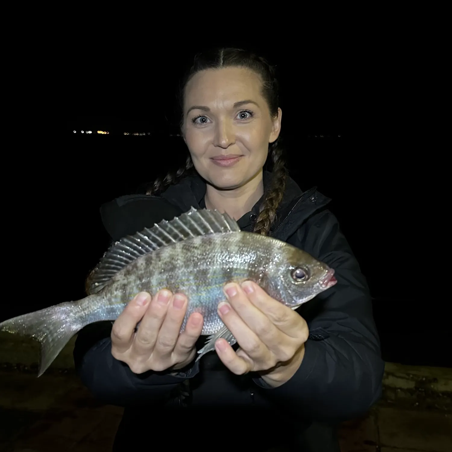 The most recent Black seabream catches on Fishbrain