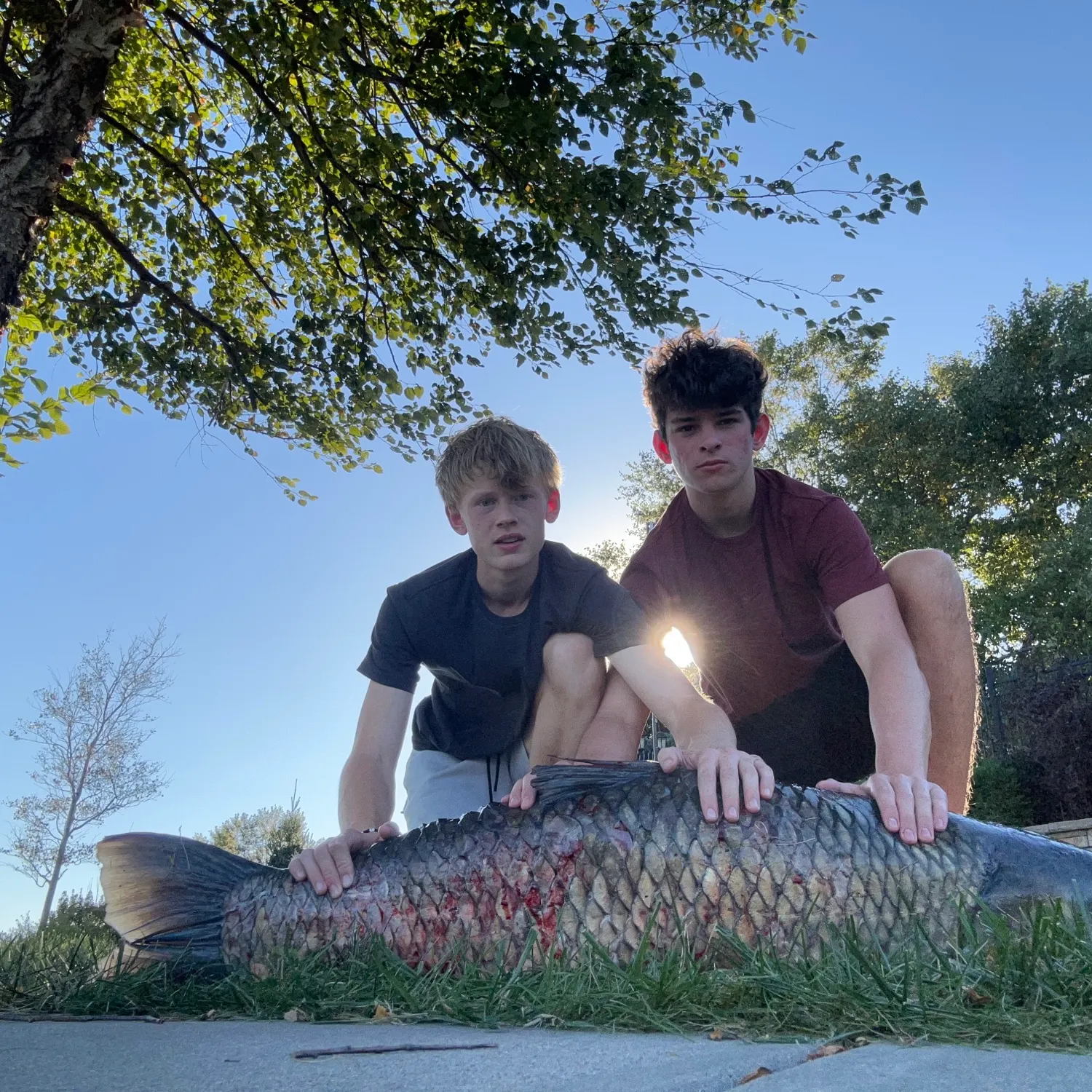 Grass carp caught on Fishbrain