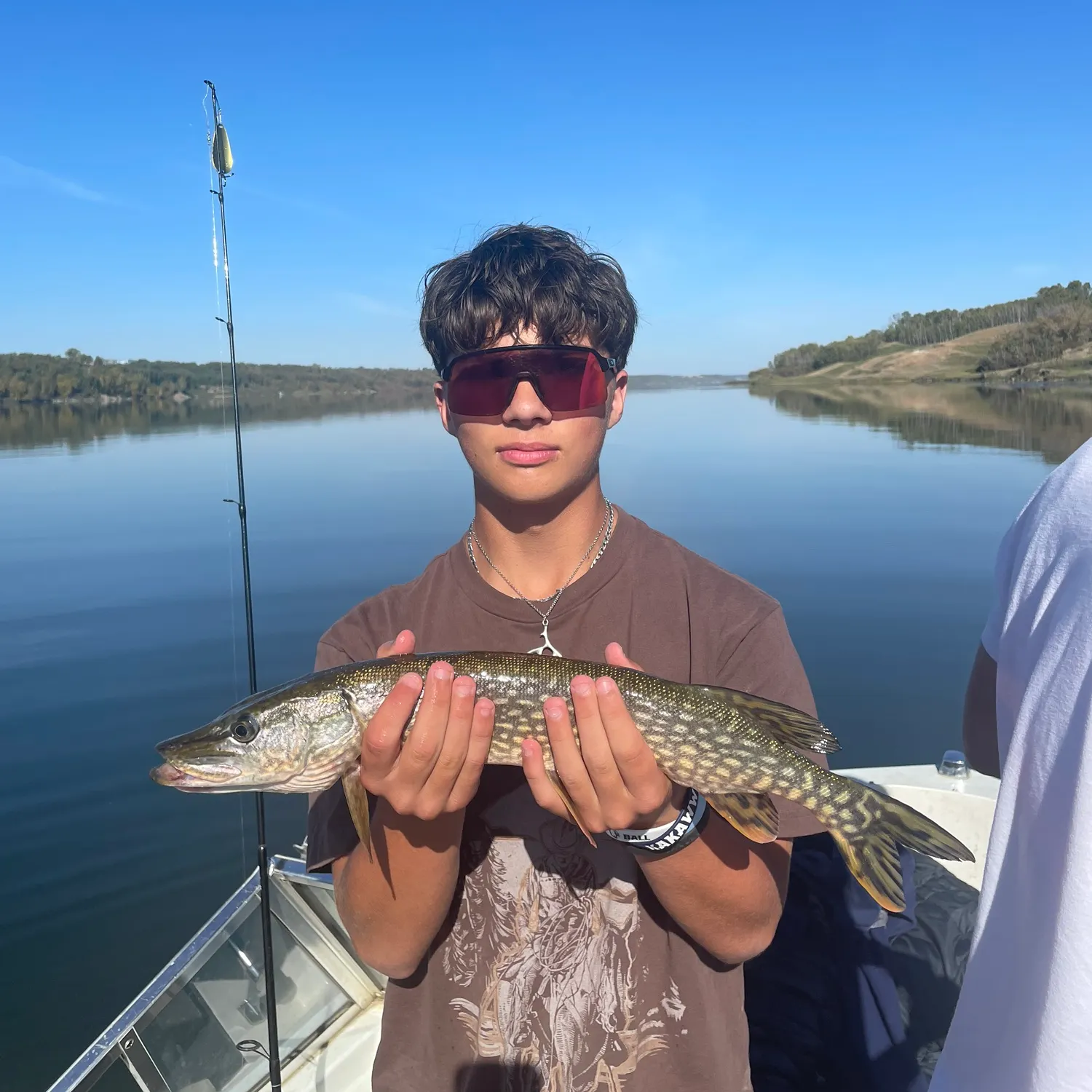 Northern pike caught on Fishbrain