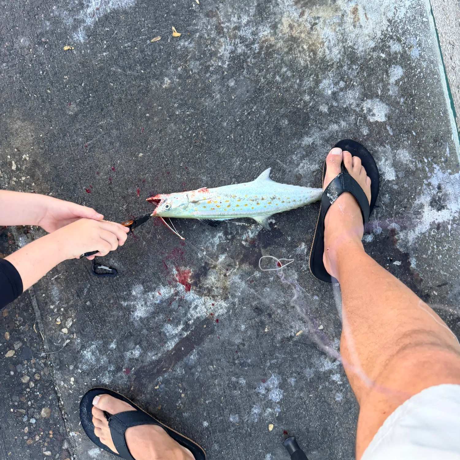 catch