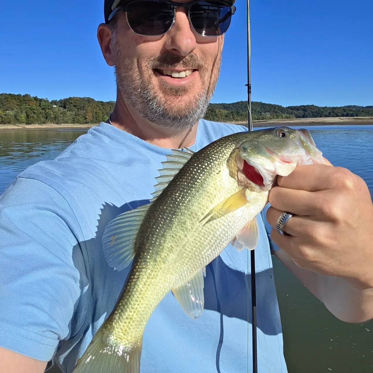 Spotted bass caught on Fishbrain