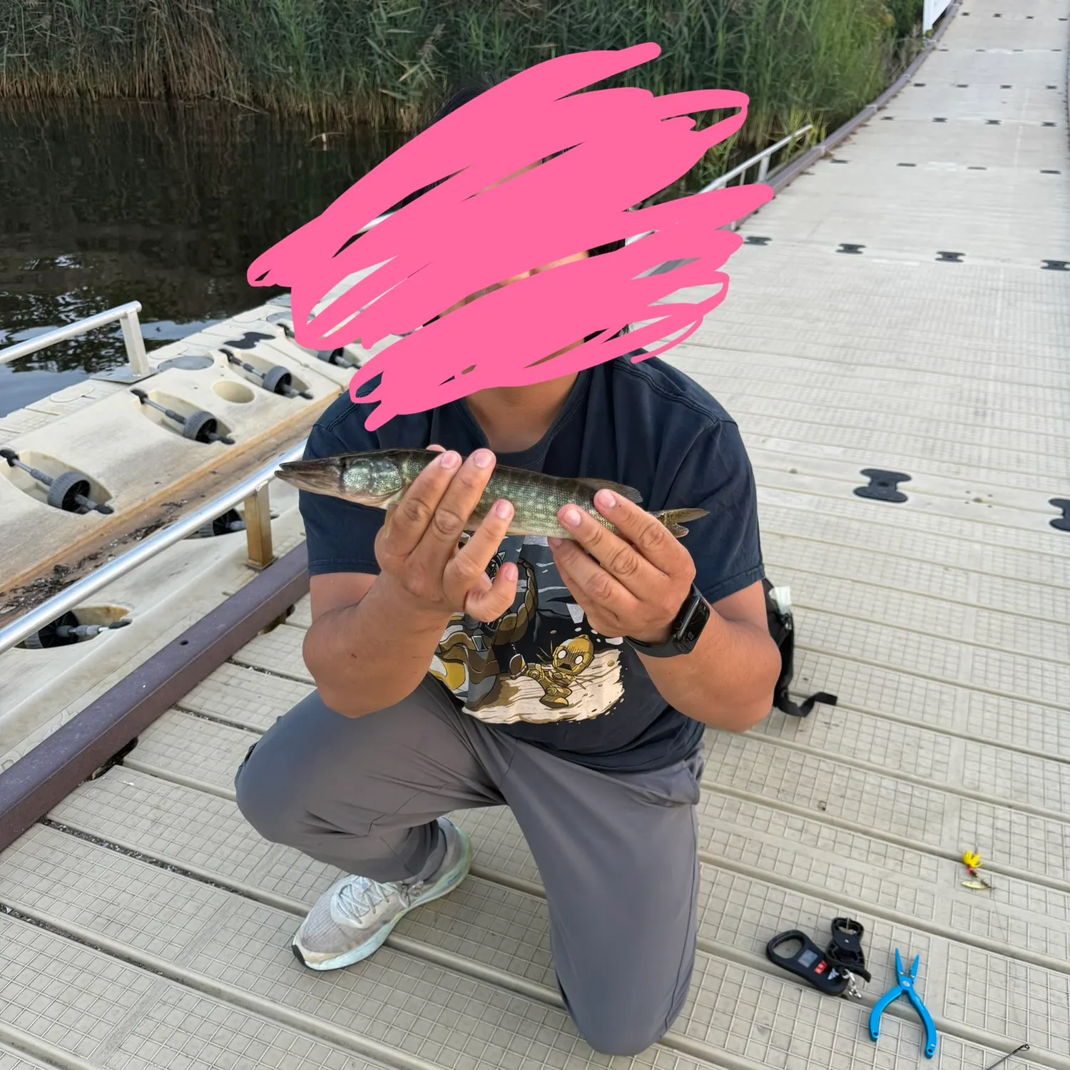 catch