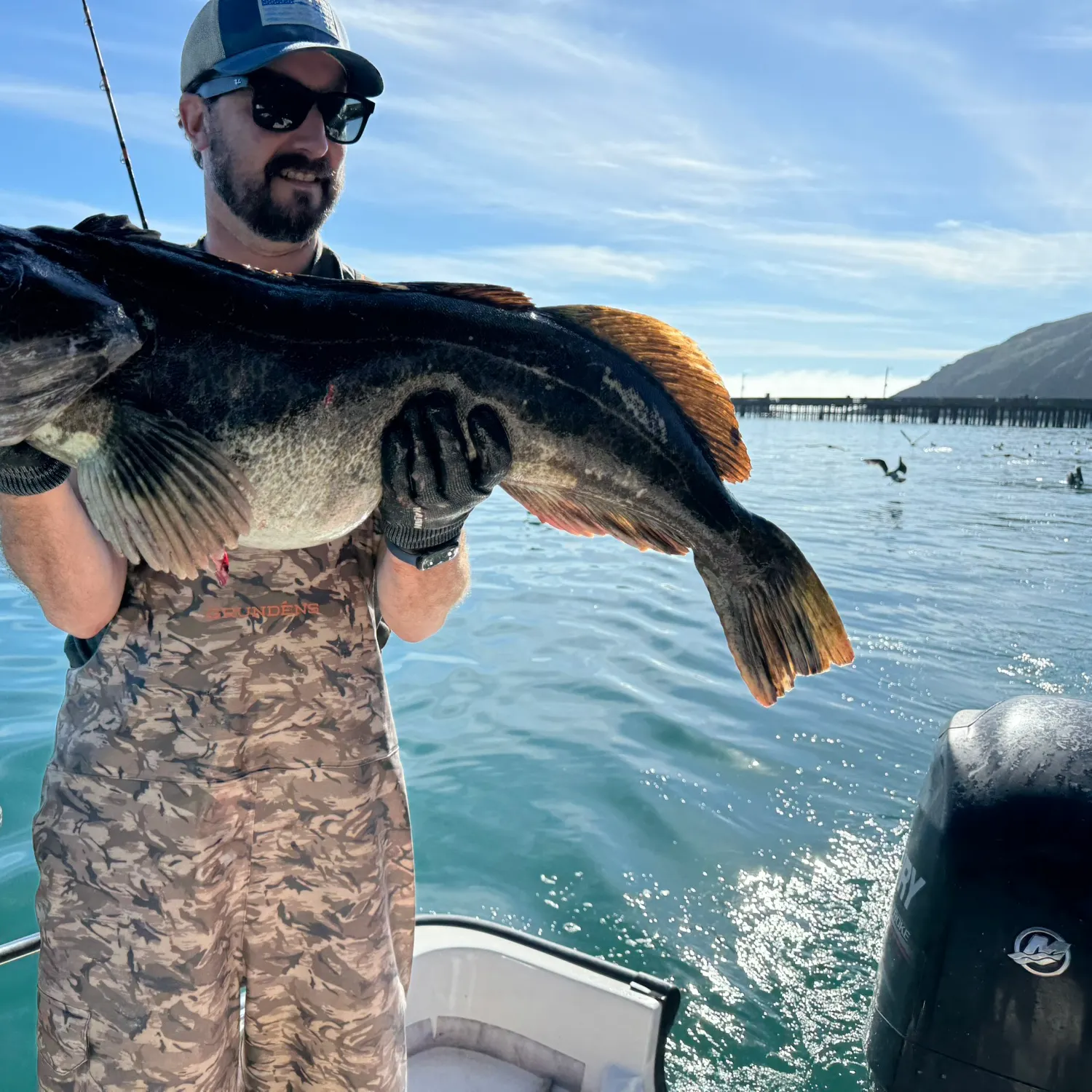 The most recent Lingcod catches on Fishbrain