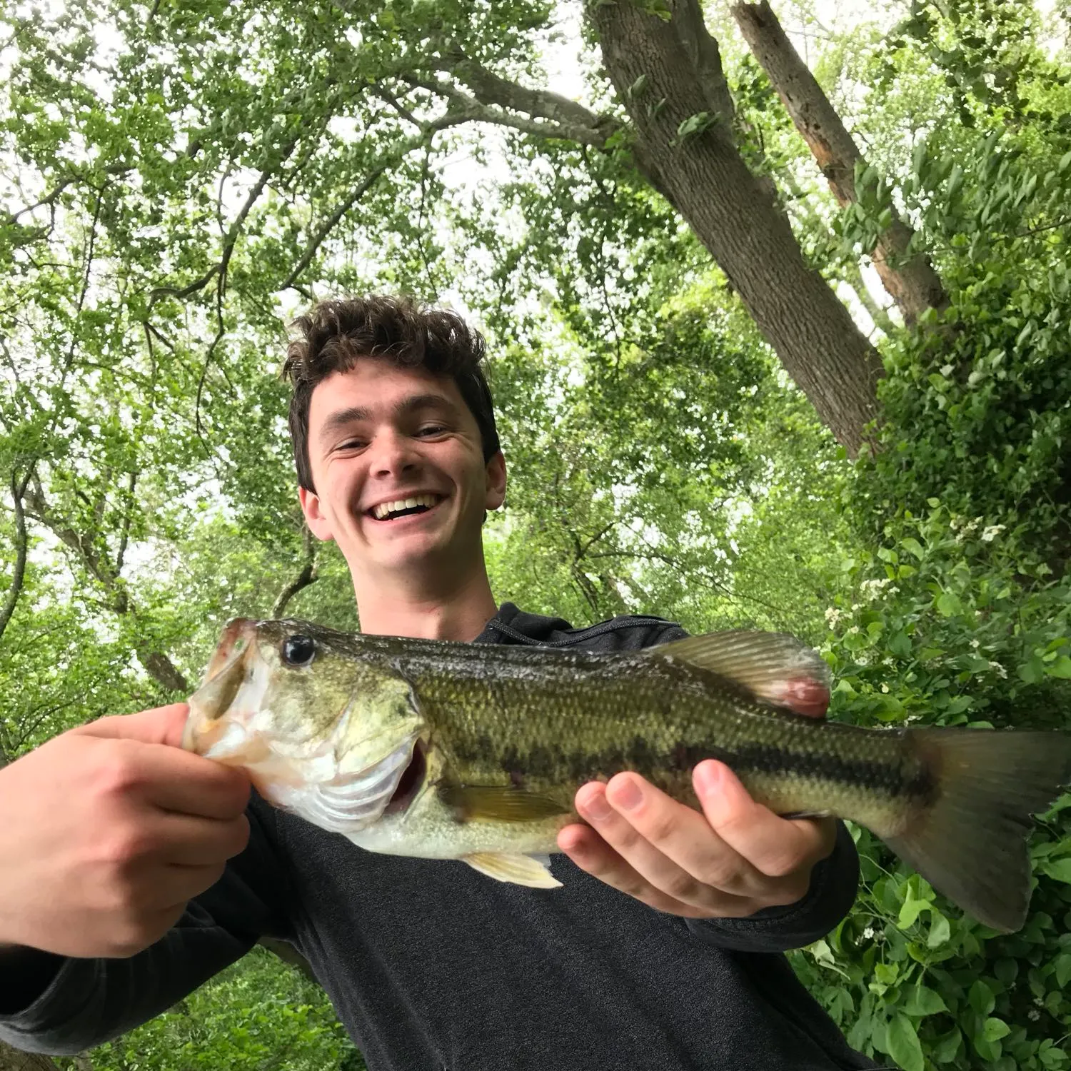 angler catch