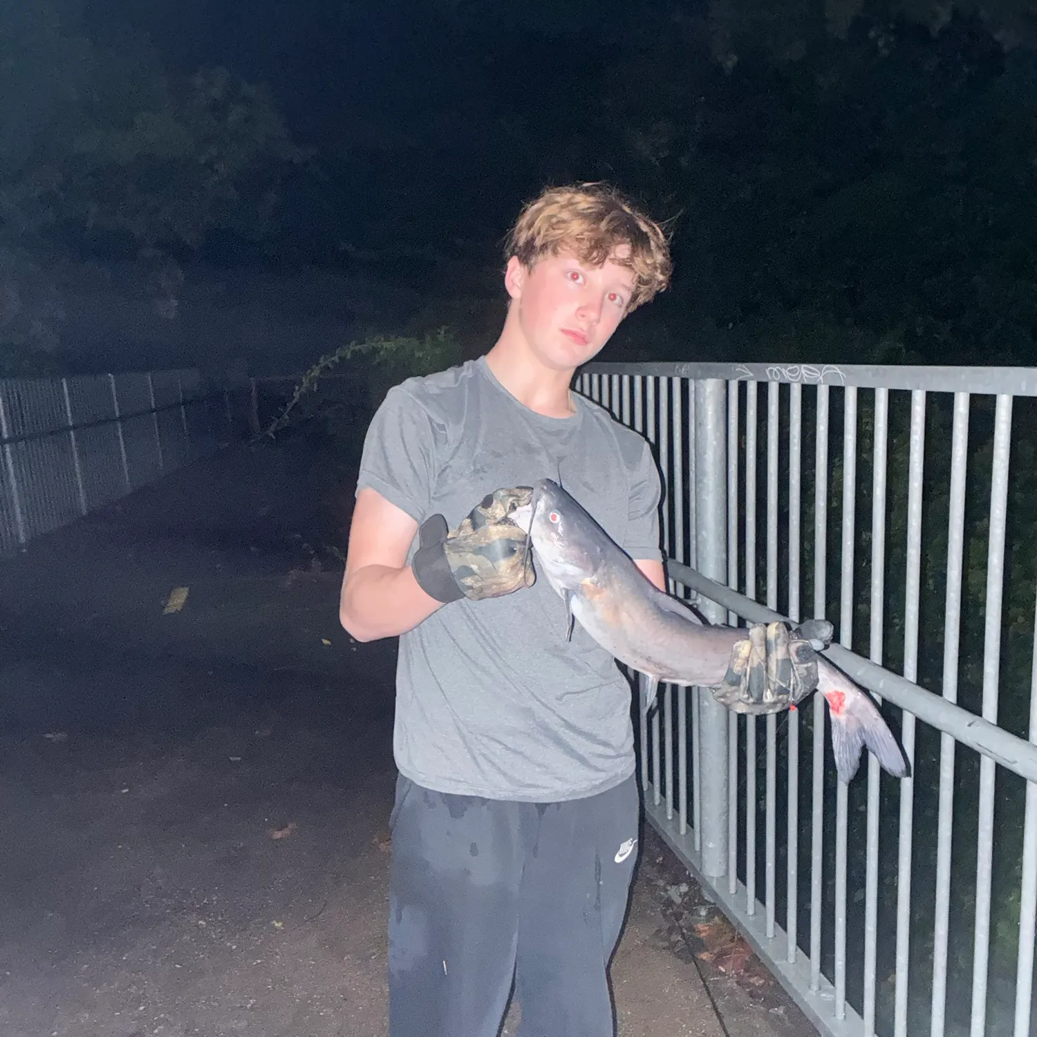 Blue catfish caught on Fishbrain
