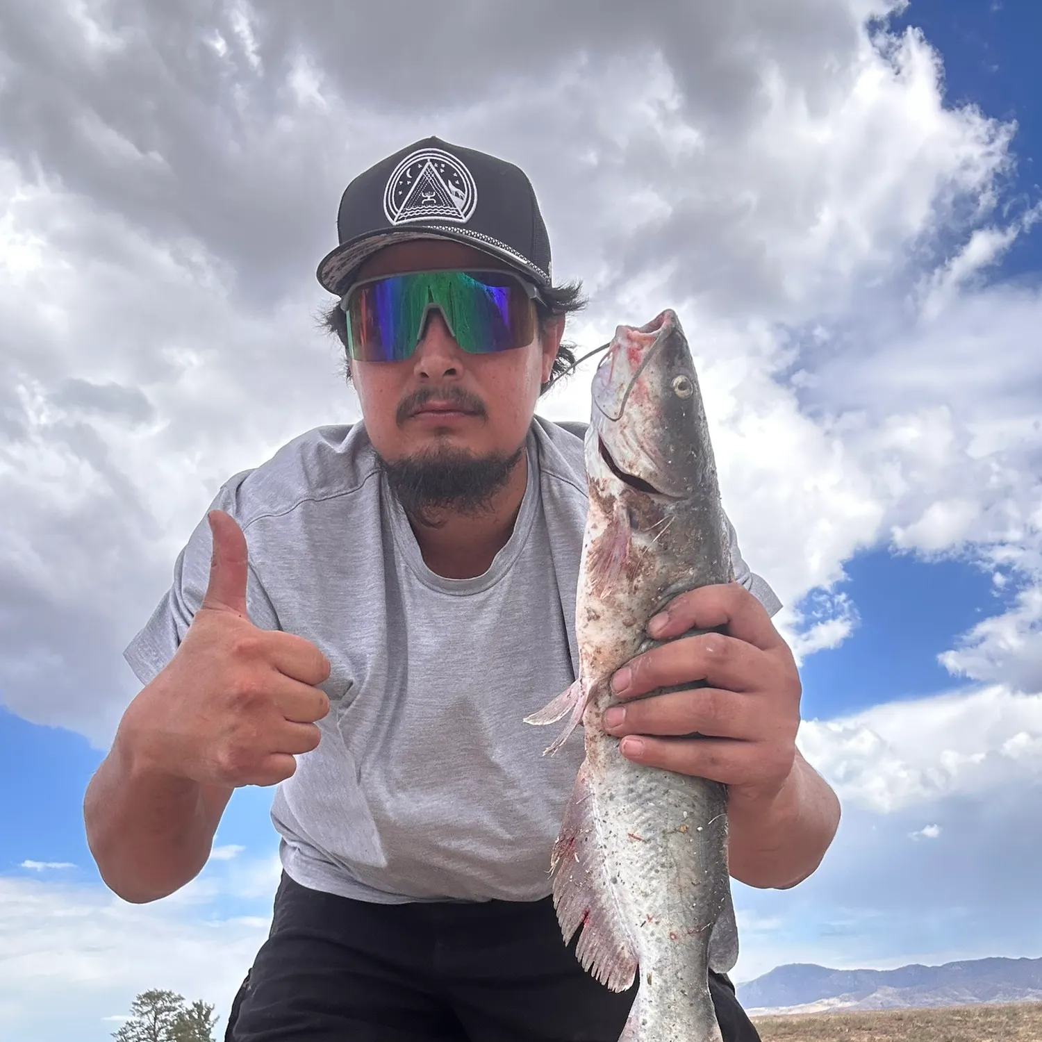 Channel catfish caught on Fishbrain