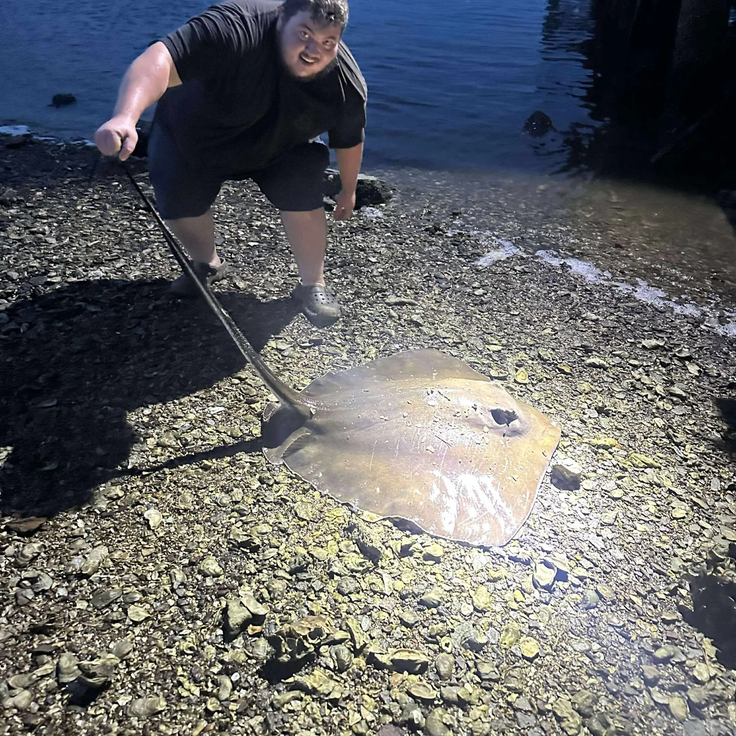 The most recent Southern stingray catches on Fishbrain
