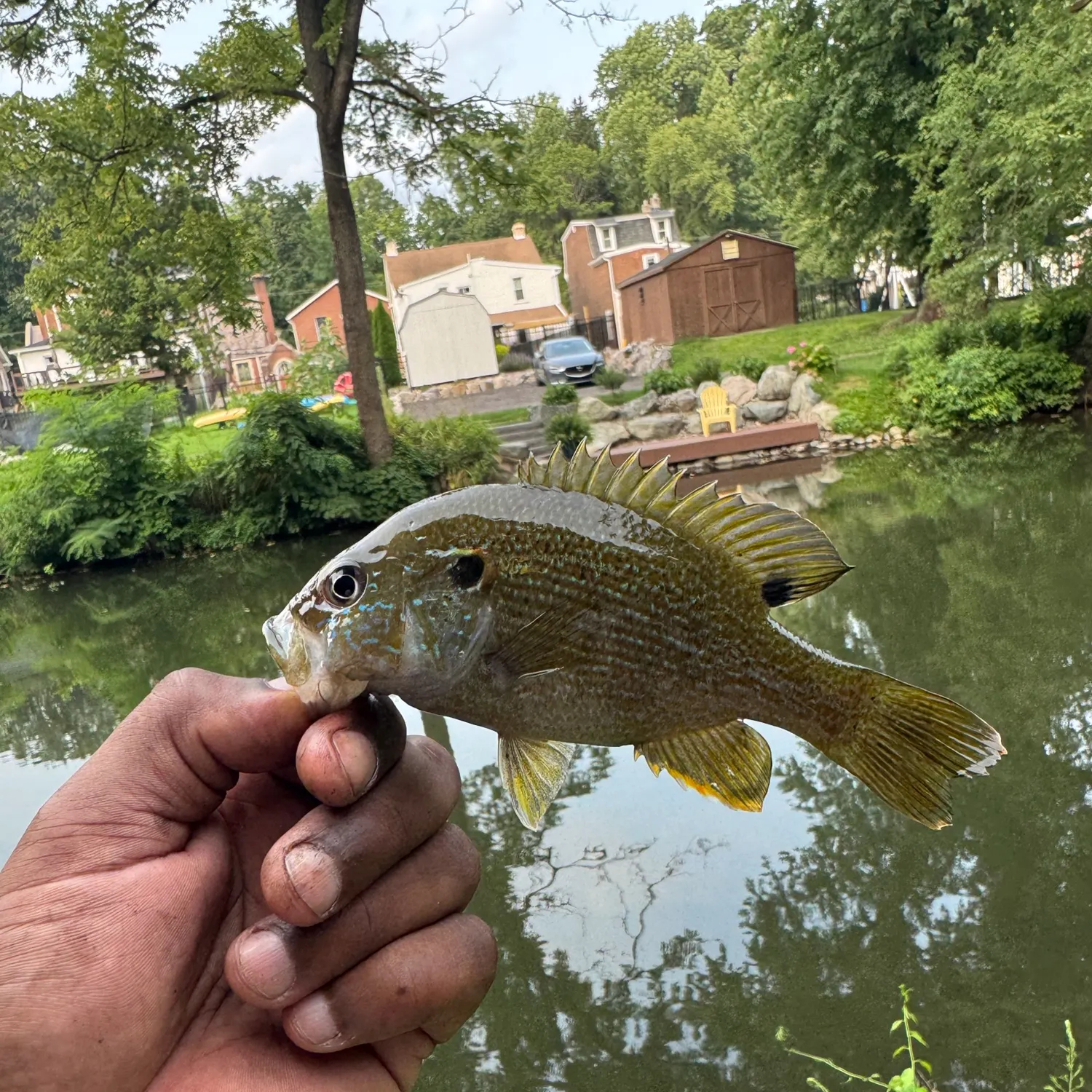 catch