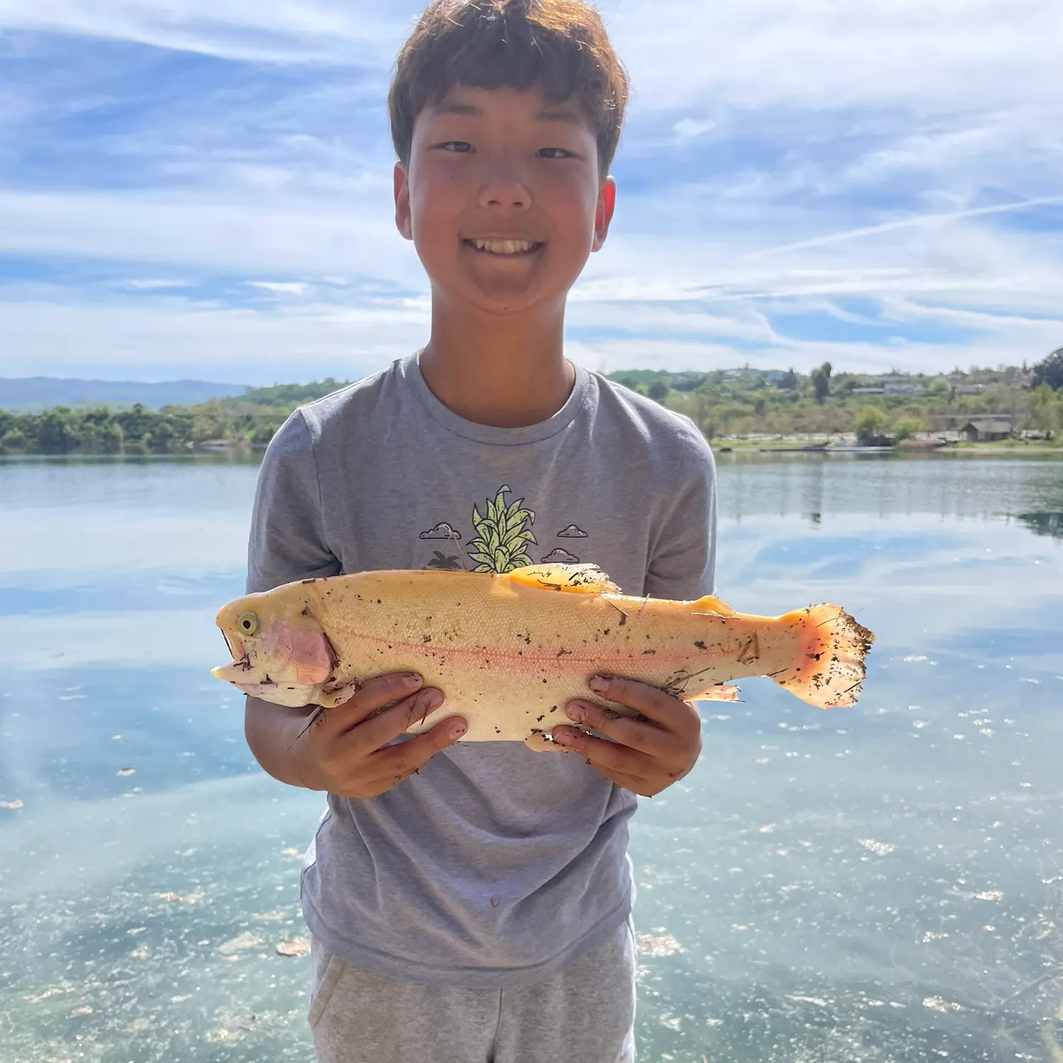 The most recent Golden rainbow trout catches on Fishbrain