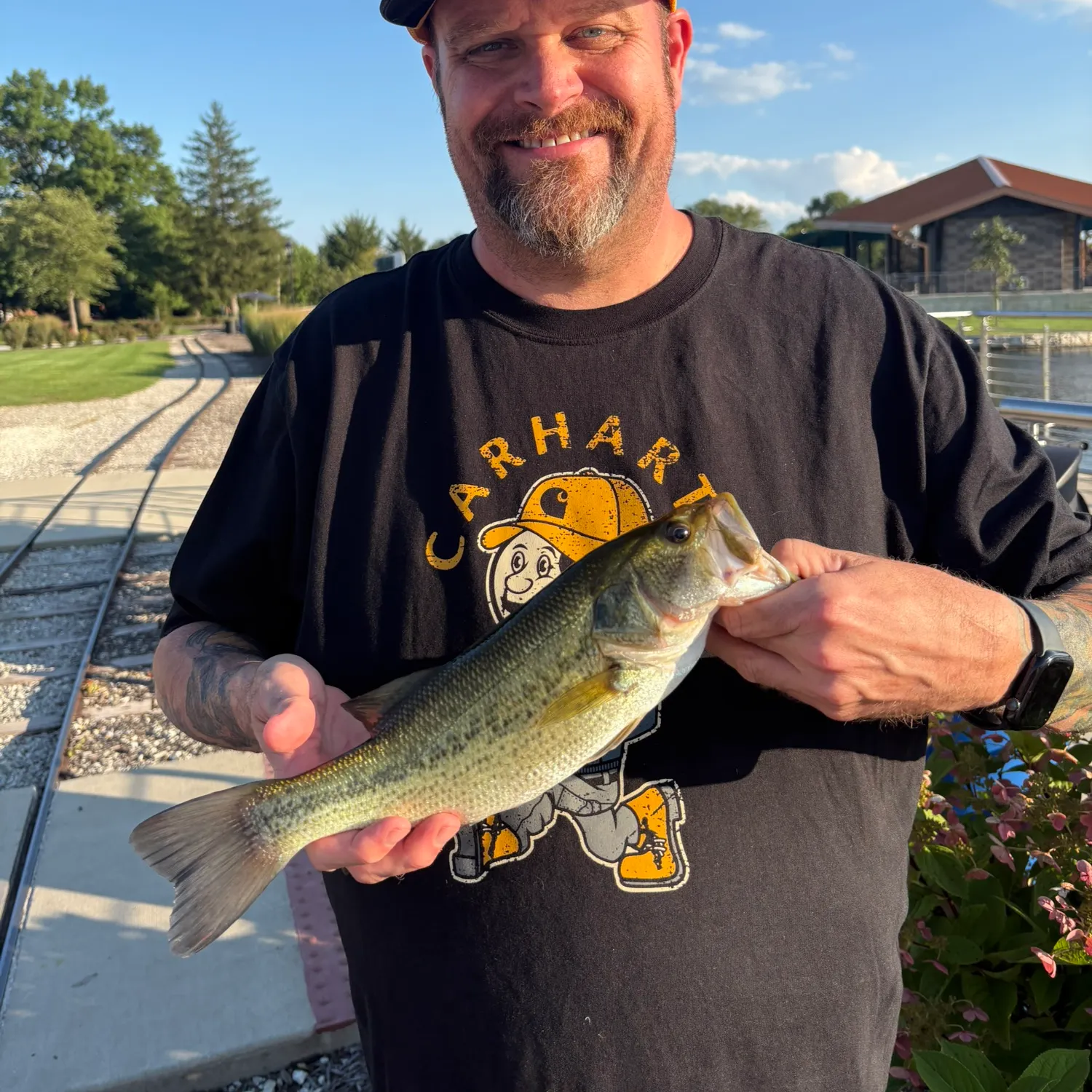 Largemouth bass caught on Fishbrain
