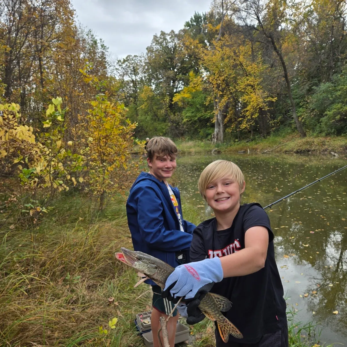 Northern pike caught on Fishbrain