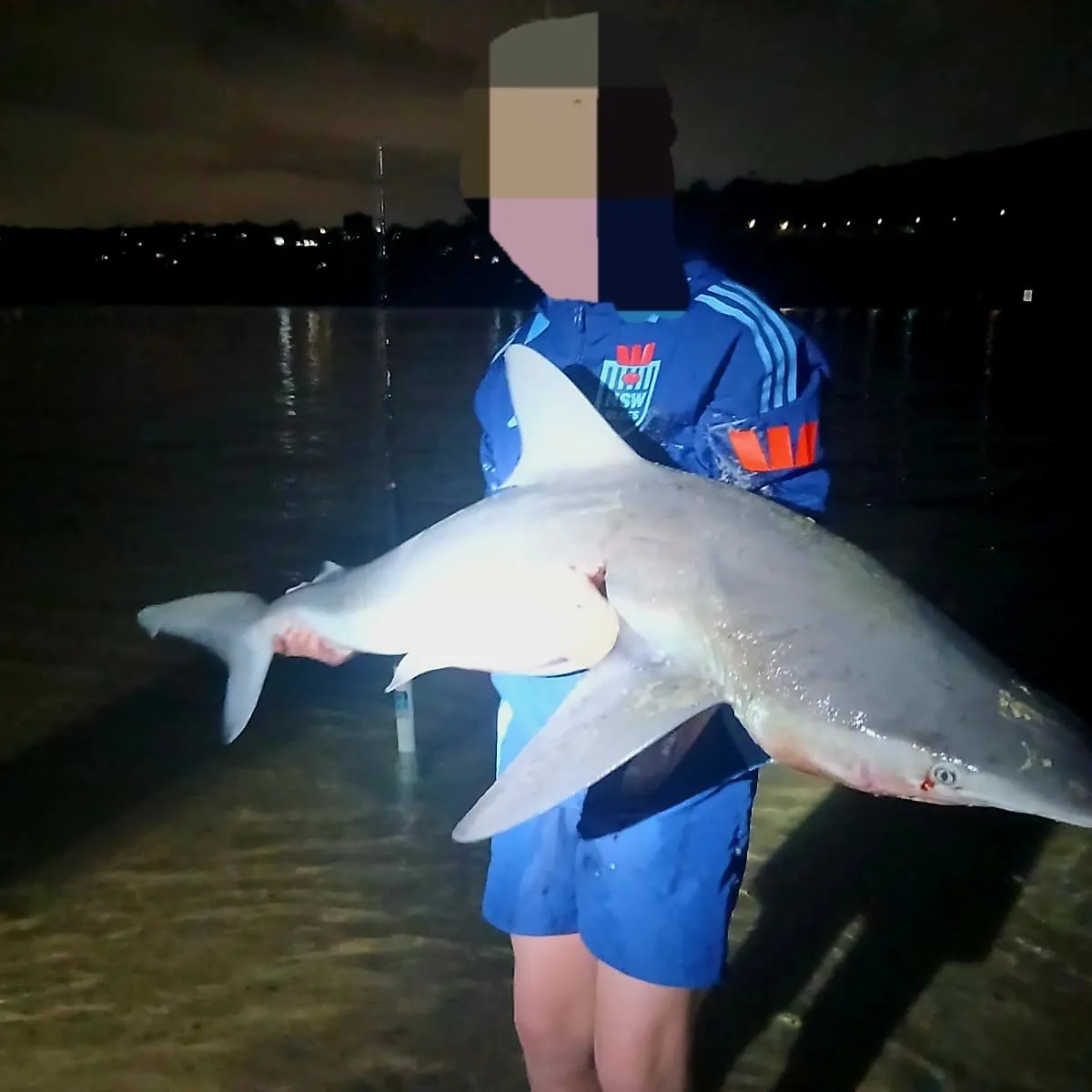 The most recent Copper shark catches on Fishbrain