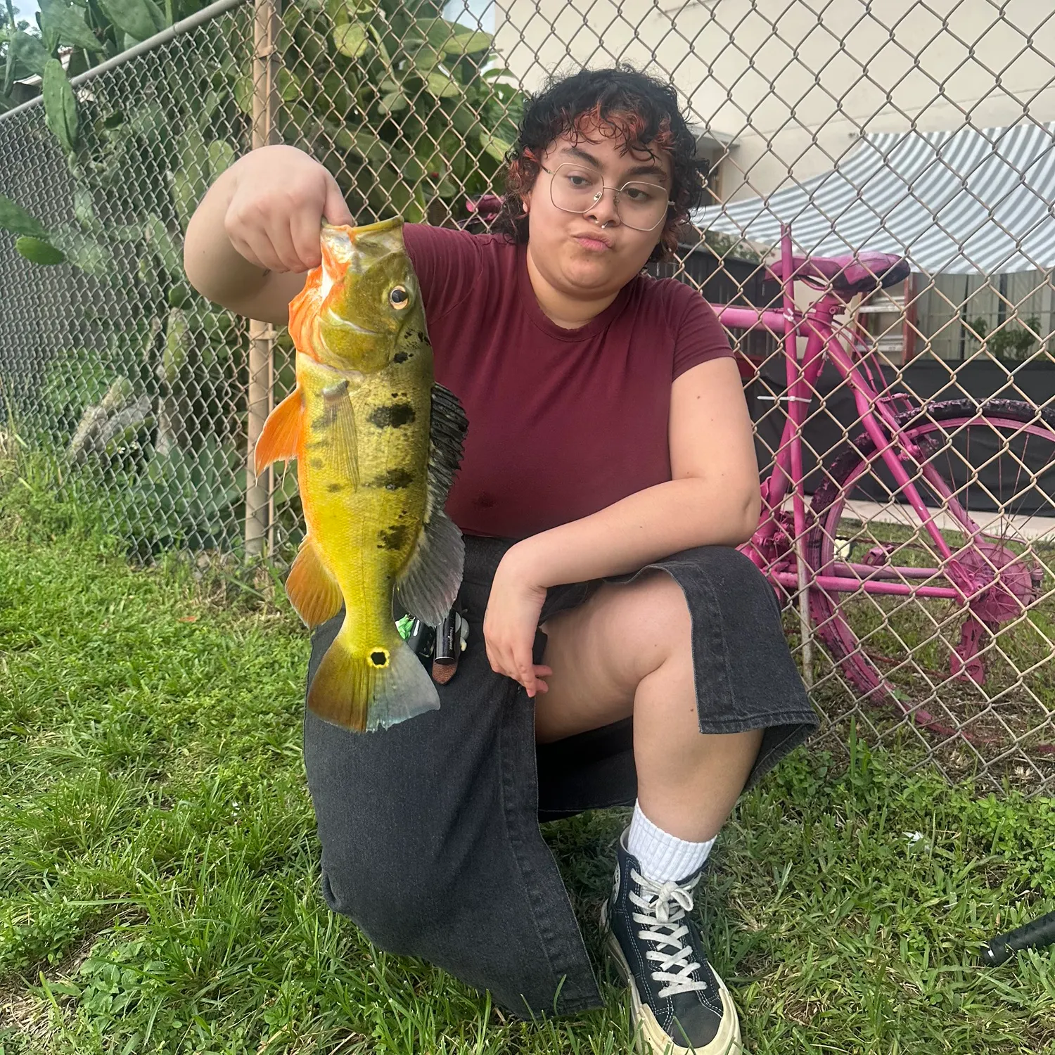 Butterfly peacock bass caught on Fishbrain