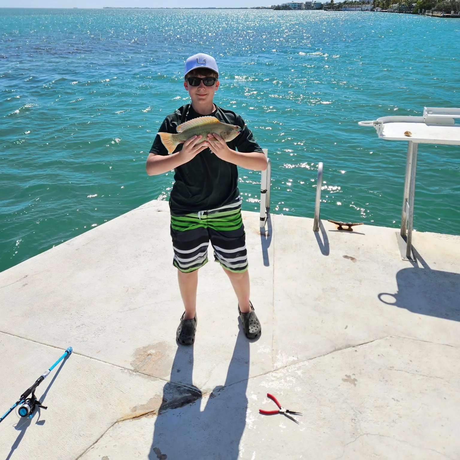 The most recent Common parrotfish catches on Fishbrain