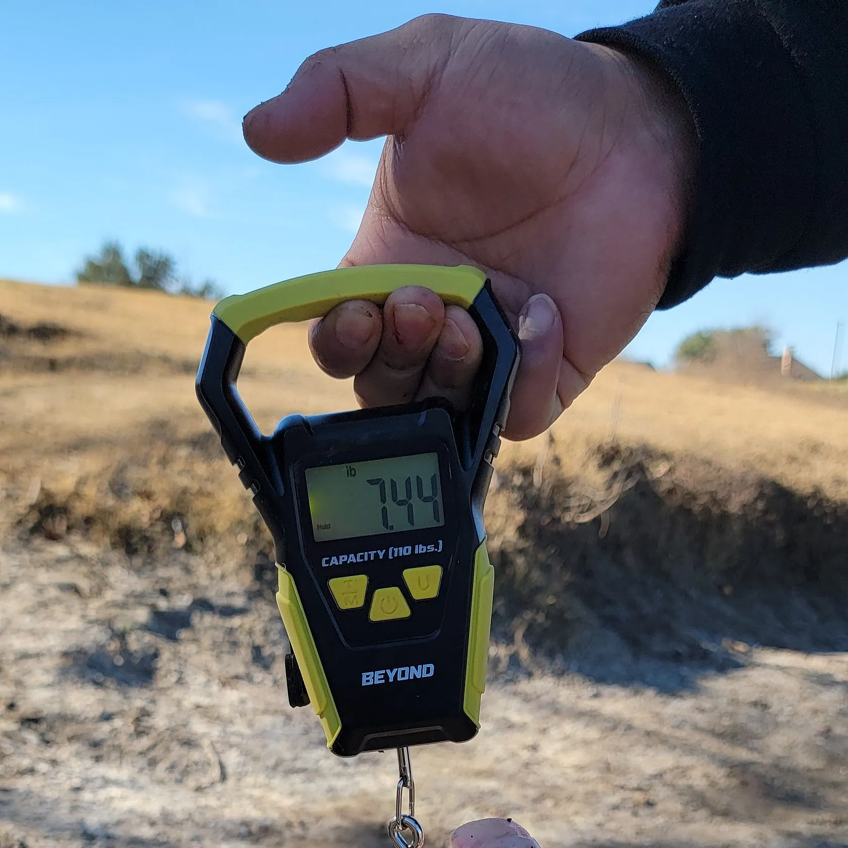 The most recent Smallmouth buffalo catches on Fishbrain