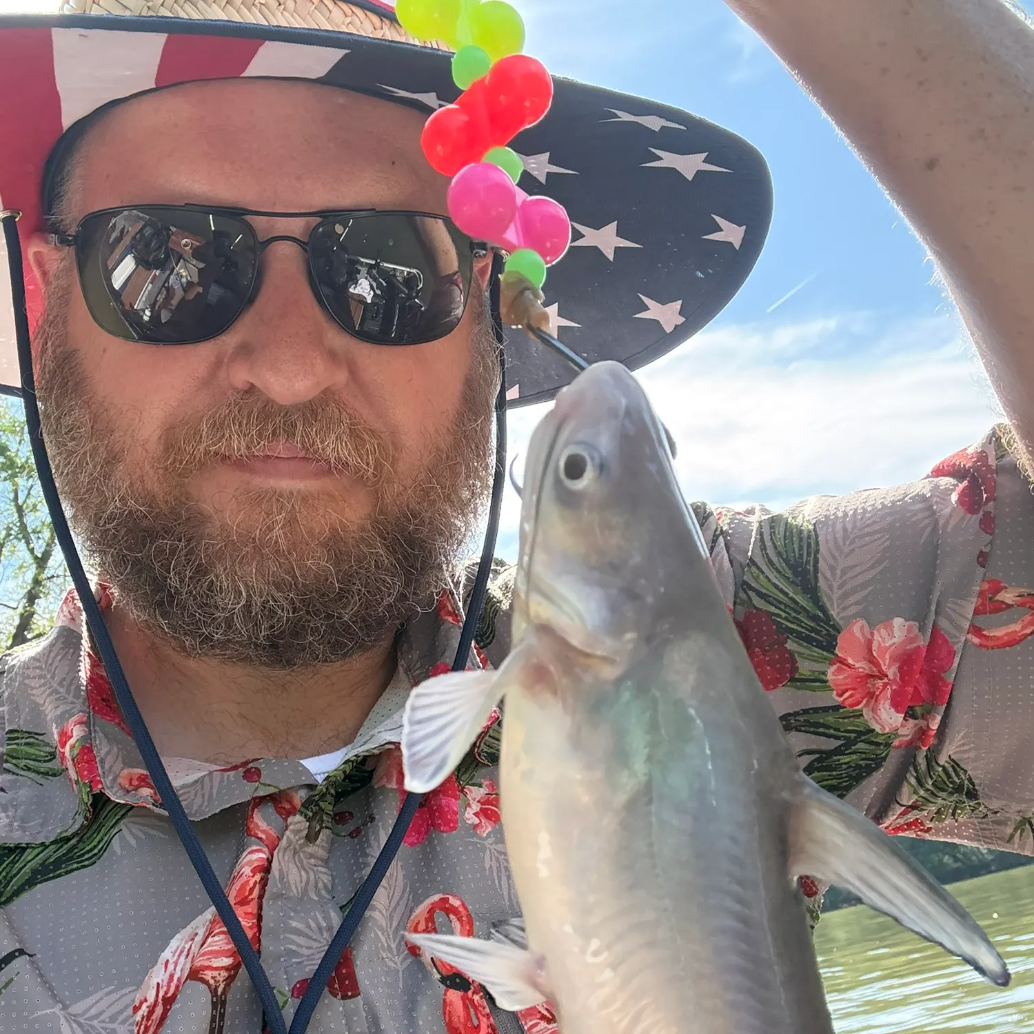 Blue catfish caught on Fishbrain