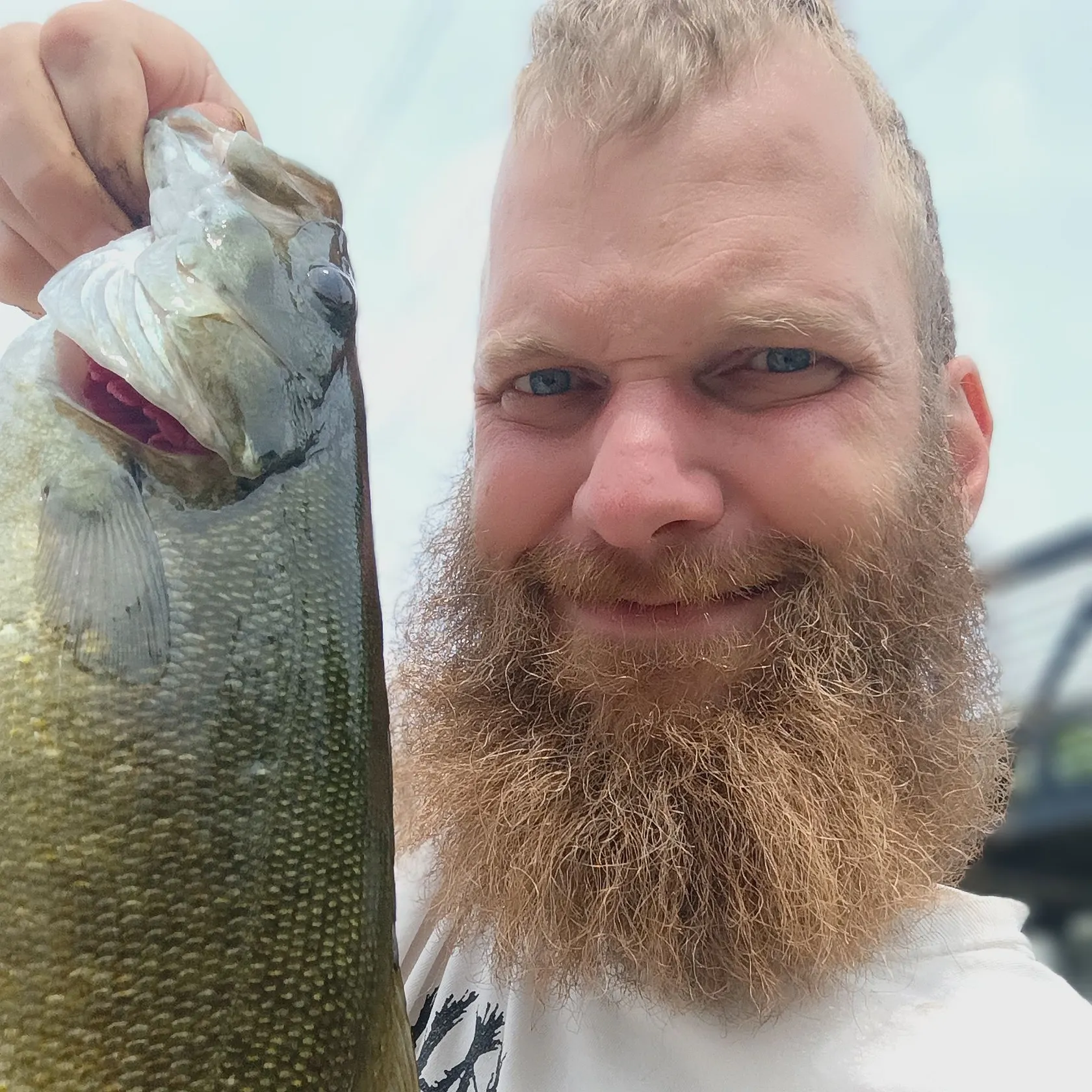 Smallmouth bass caught on Fishbrain