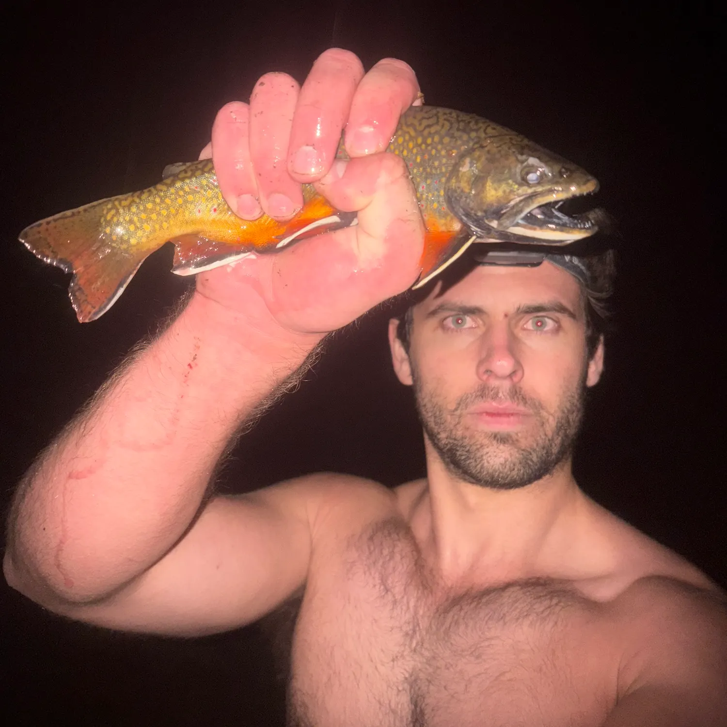 Brook trout caught on Fishbrain