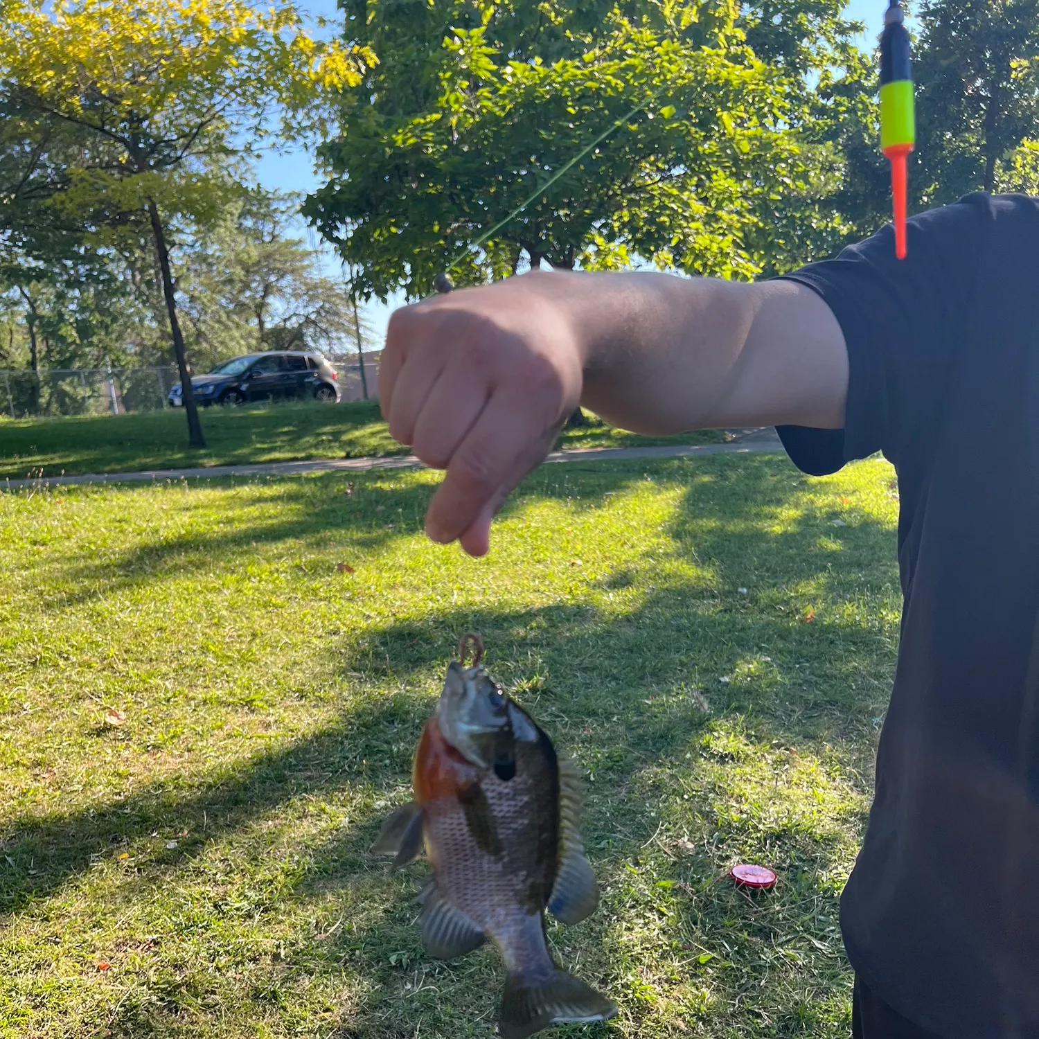 catch