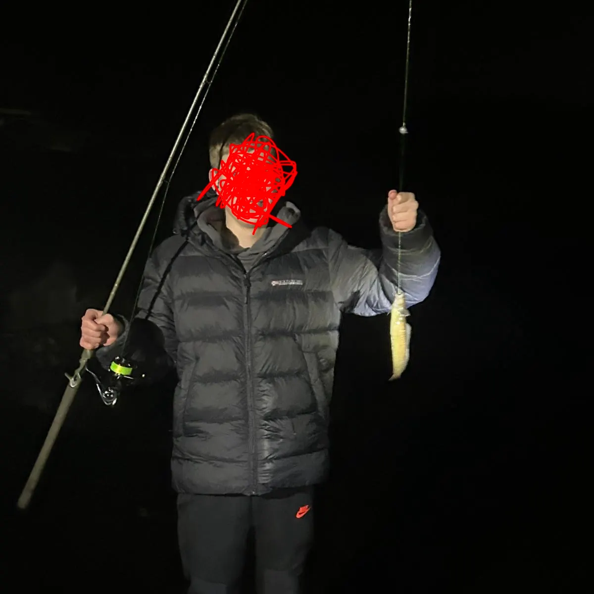 The most recent Fourbeard rockling catches on Fishbrain