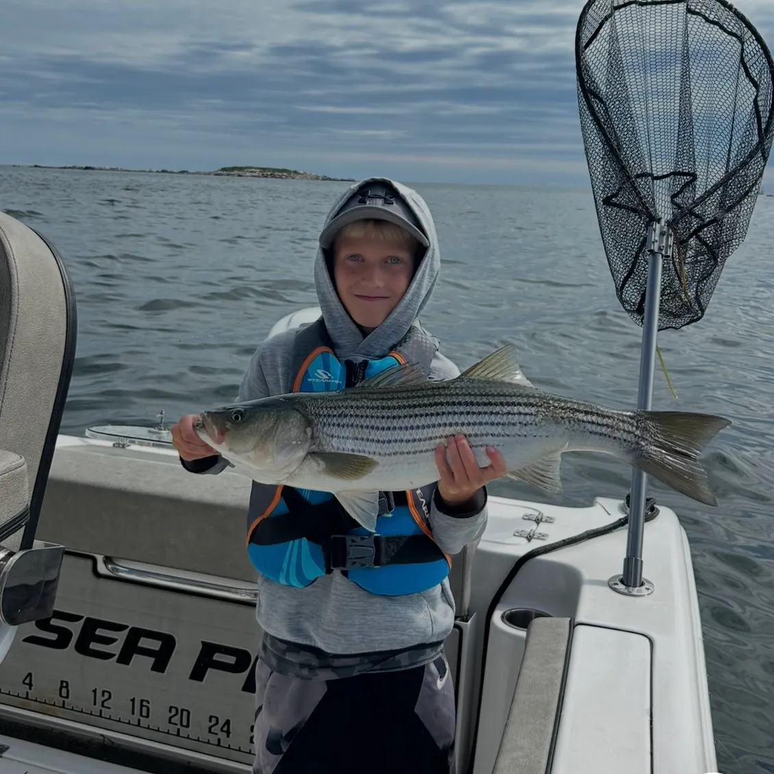 Striped bass caught on Fishbrain