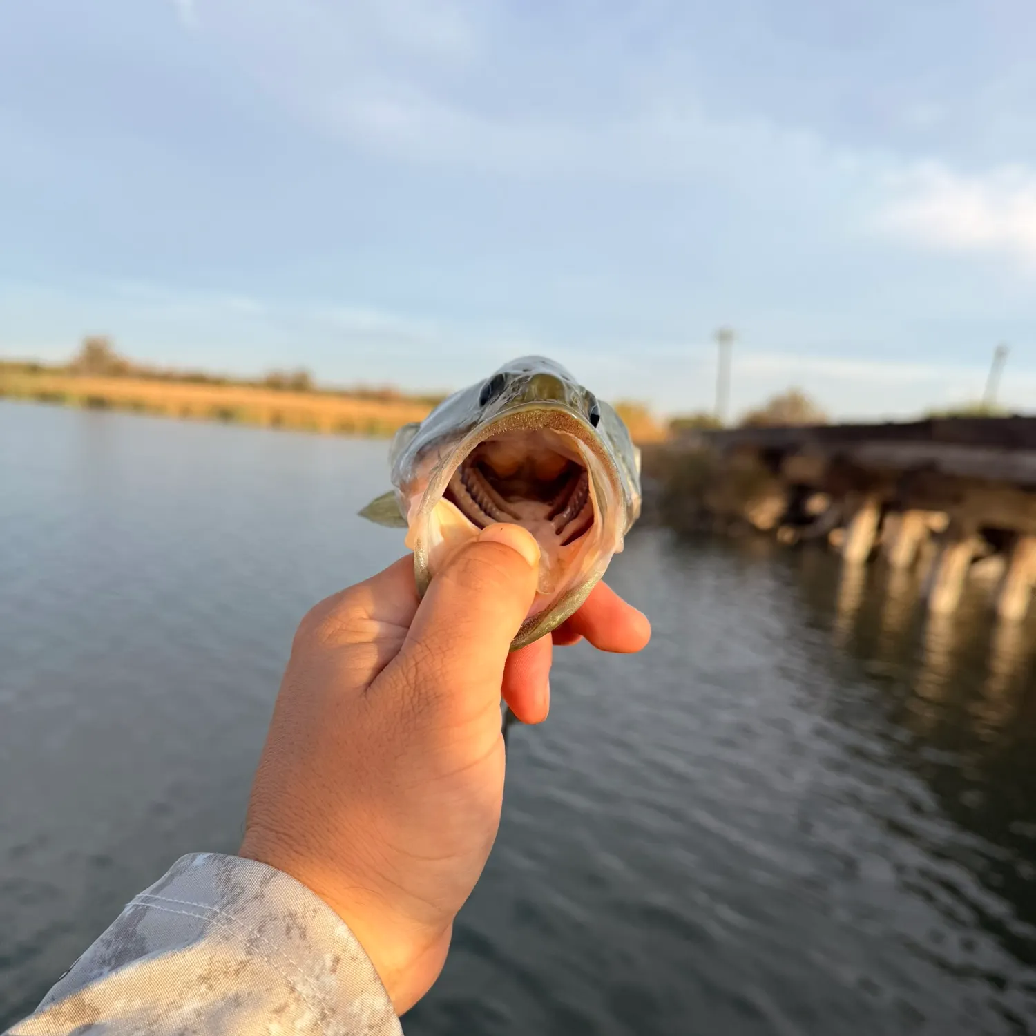 catch