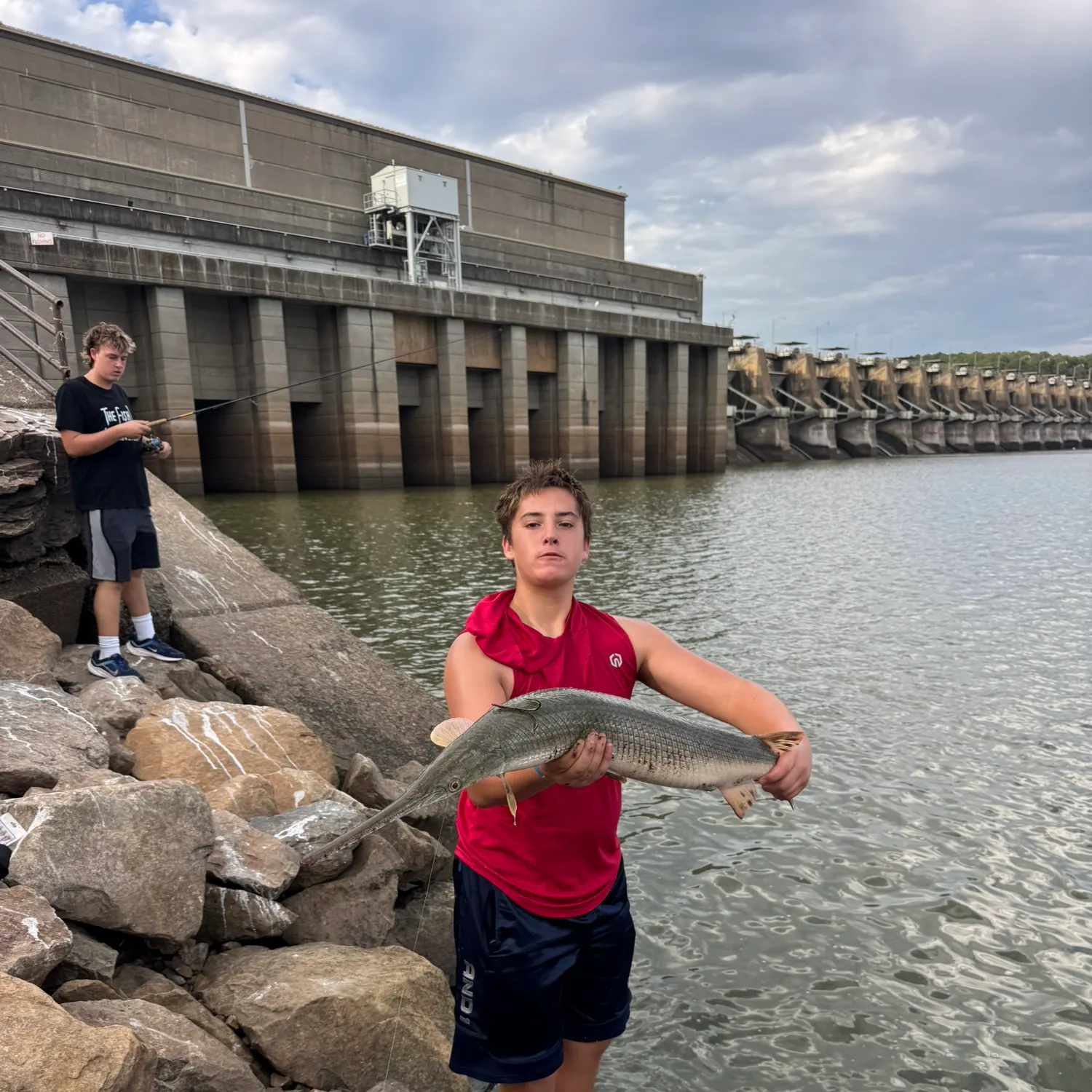 Longnose gar caught on Fishbrain