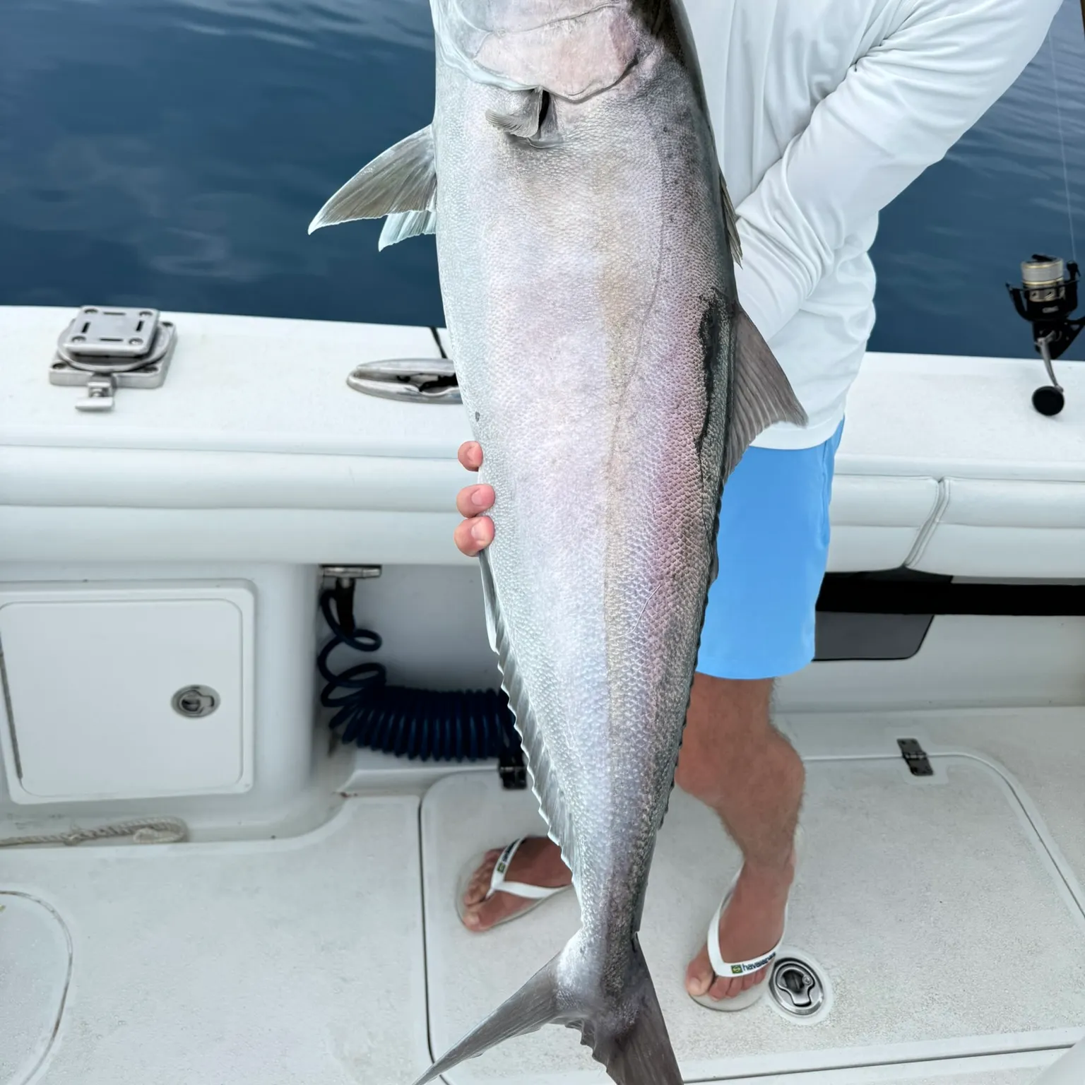 The most recent Greater amberjack catches on Fishbrain