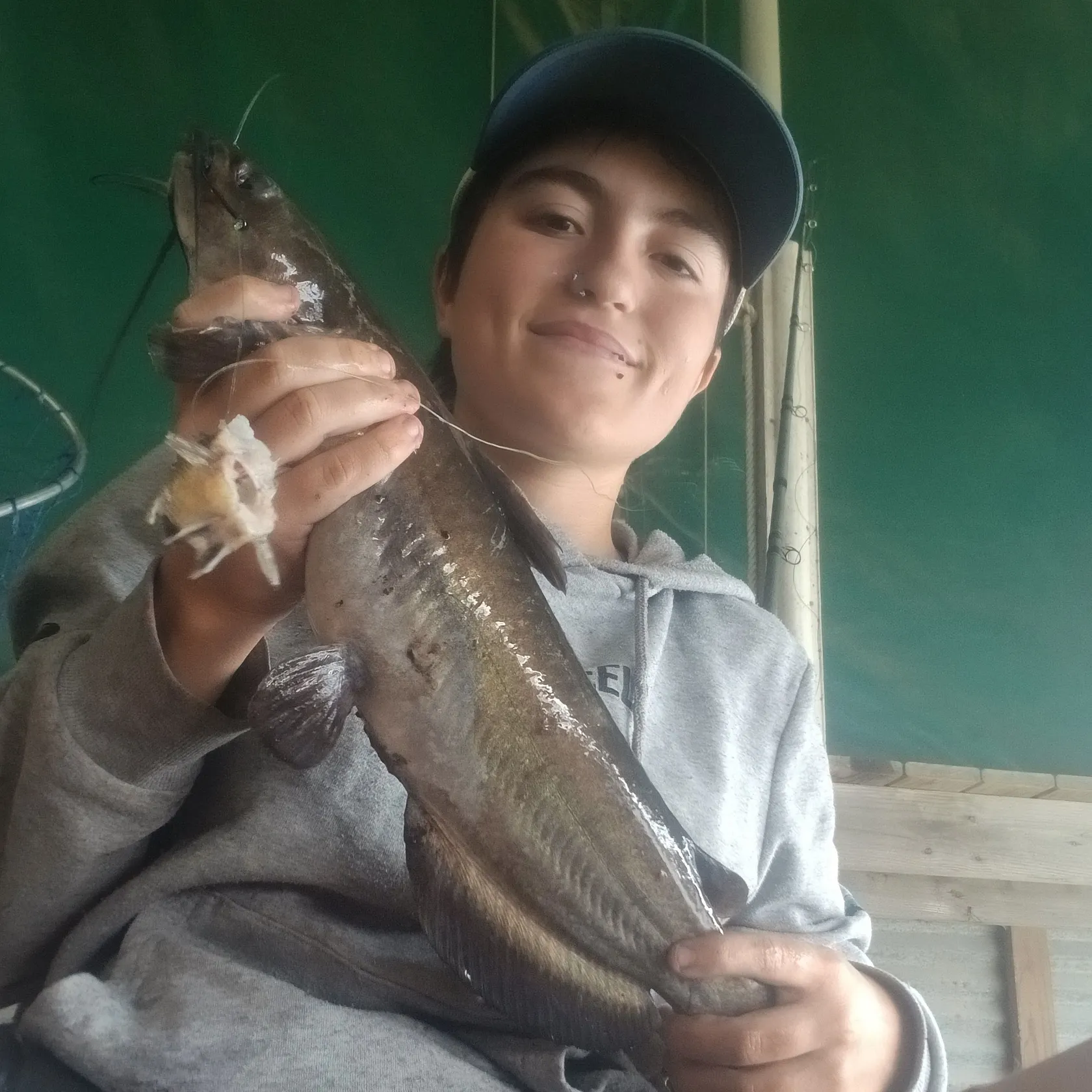 Channel catfish caught on Fishbrain