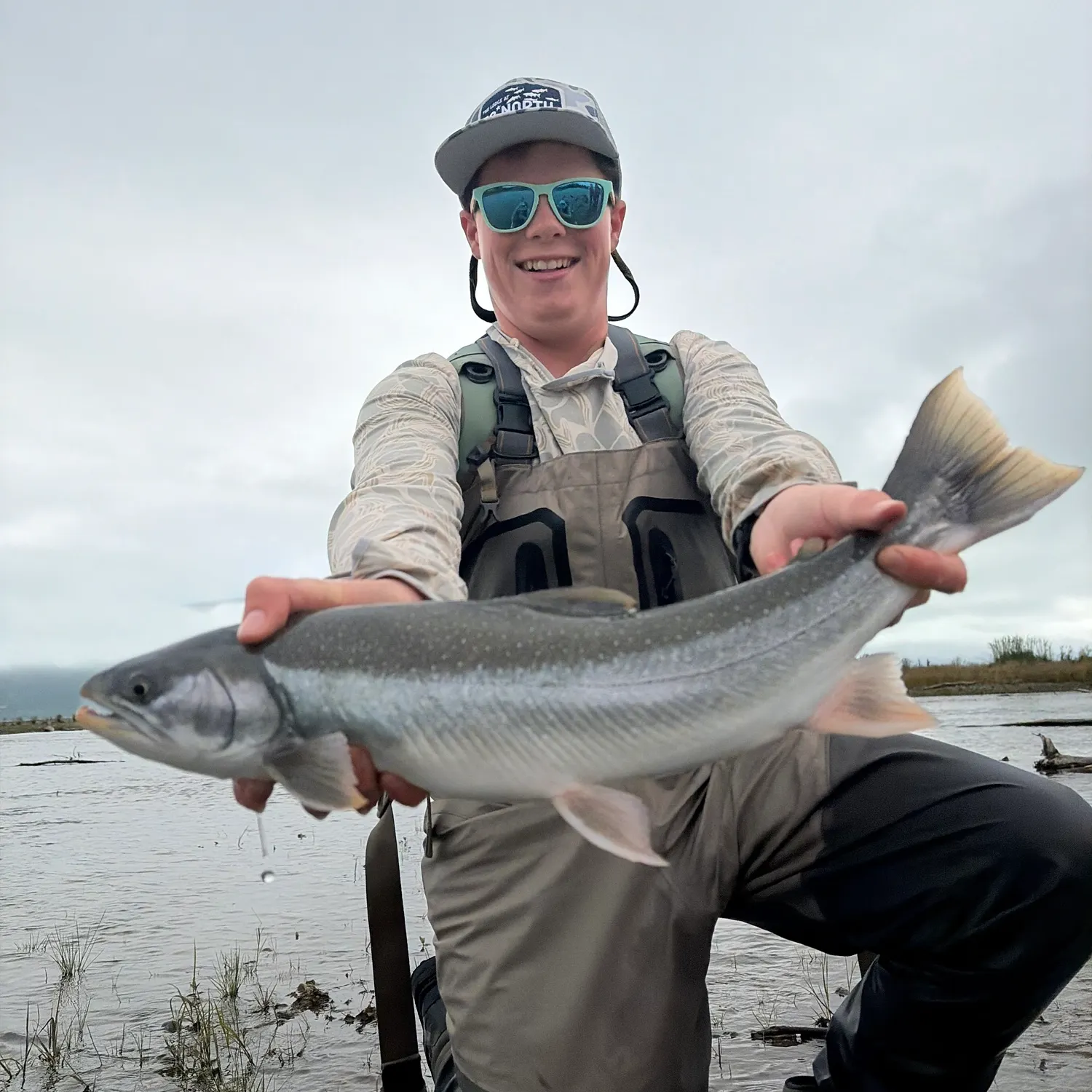 Dolly varden caught on Fishbrain
