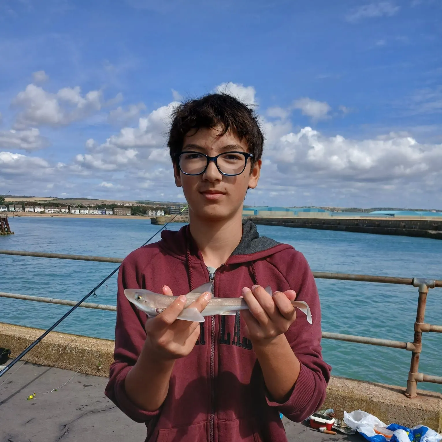 Starry smooth-hound caught on Fishbrain
