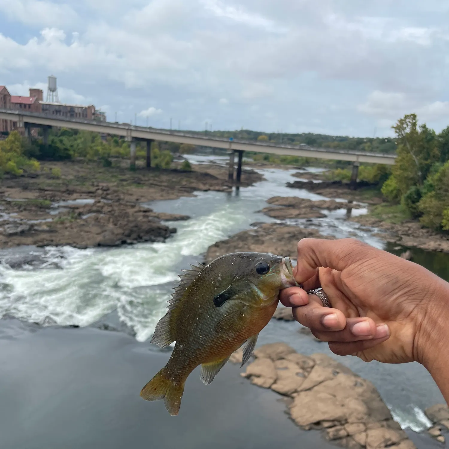 catch