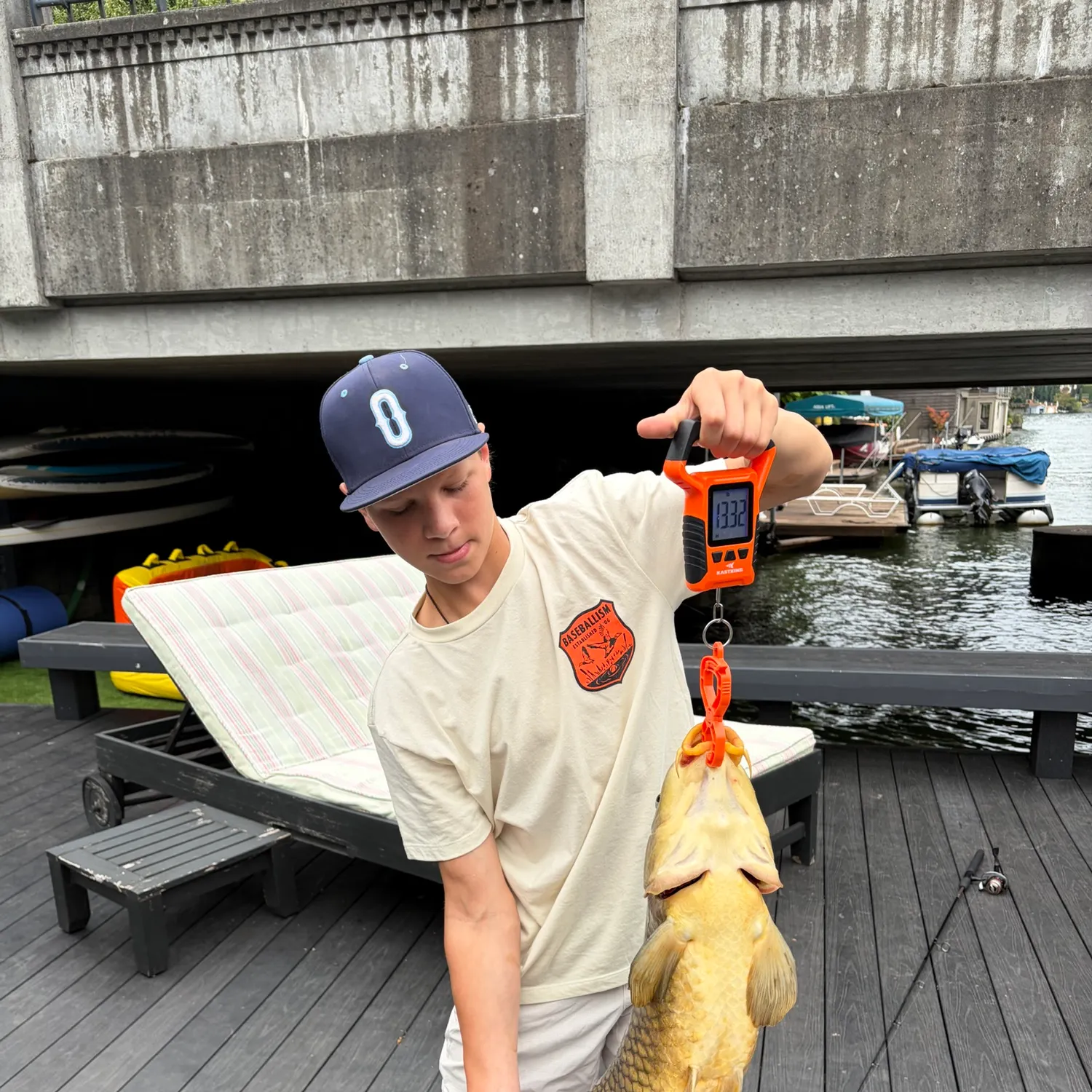 Common carp caught on Fishbrain