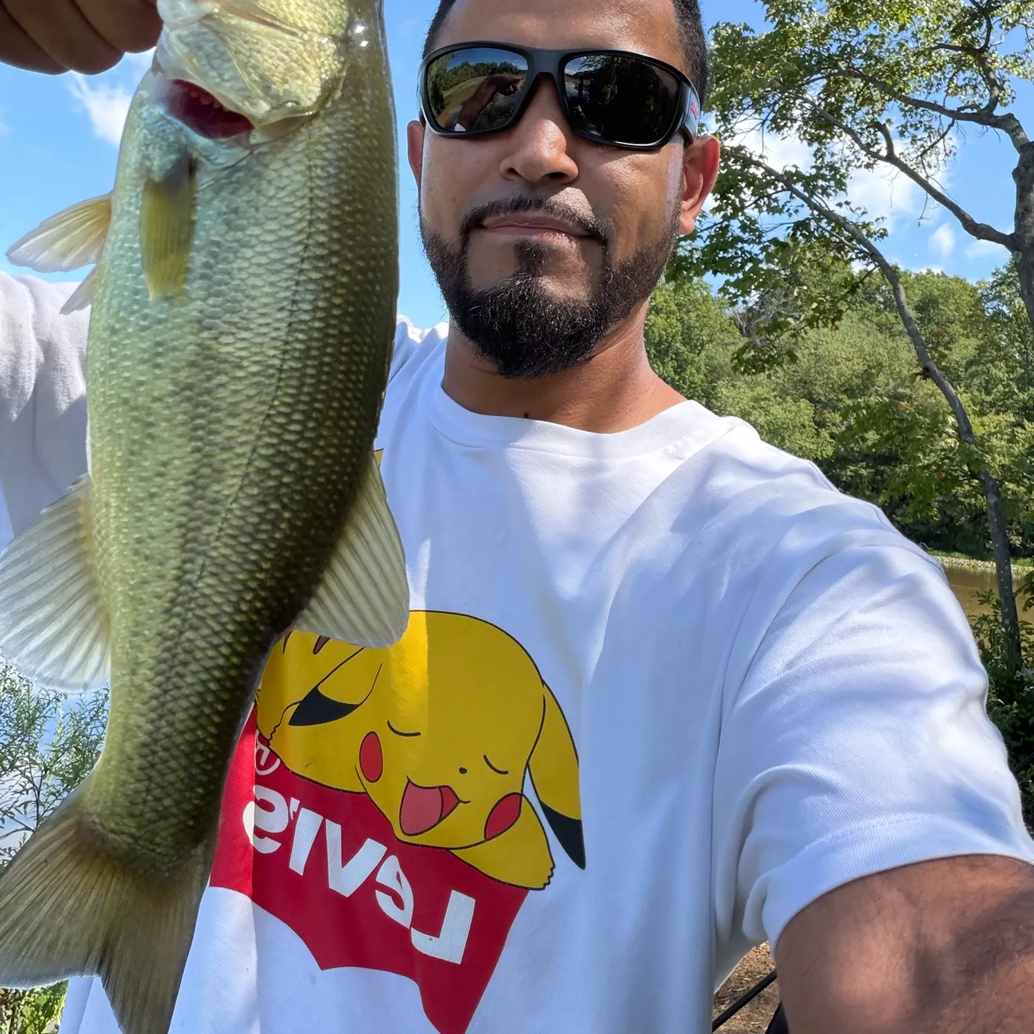 Largemouth bass caught on Fishbrain
