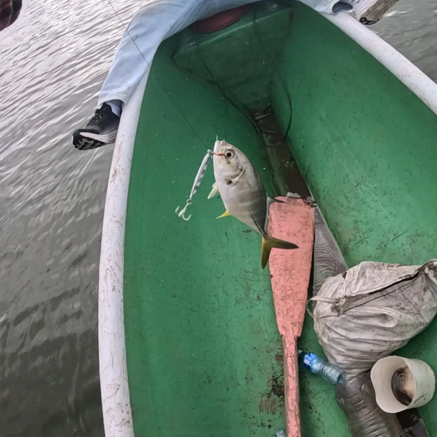 Cocinero caught on Fishbrain