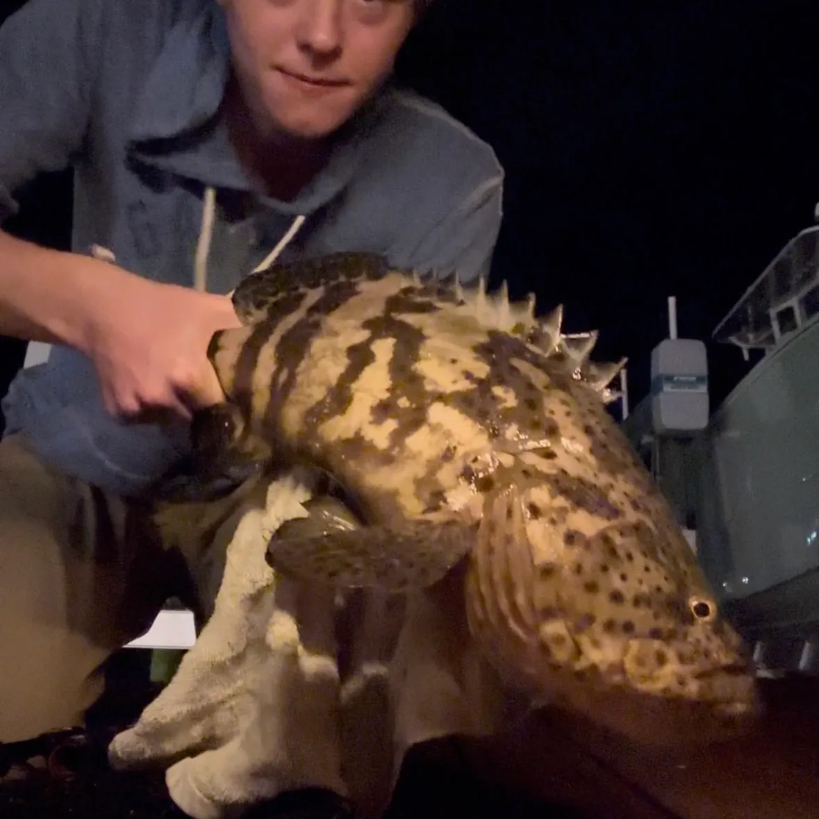 Atlantic goliath grouper caught on Fishbrain
