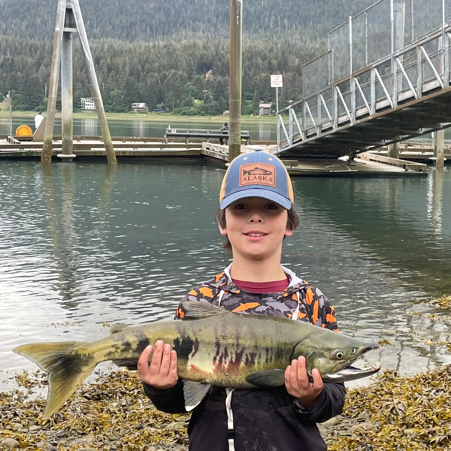 The most recent Chum salmon catches on Fishbrain