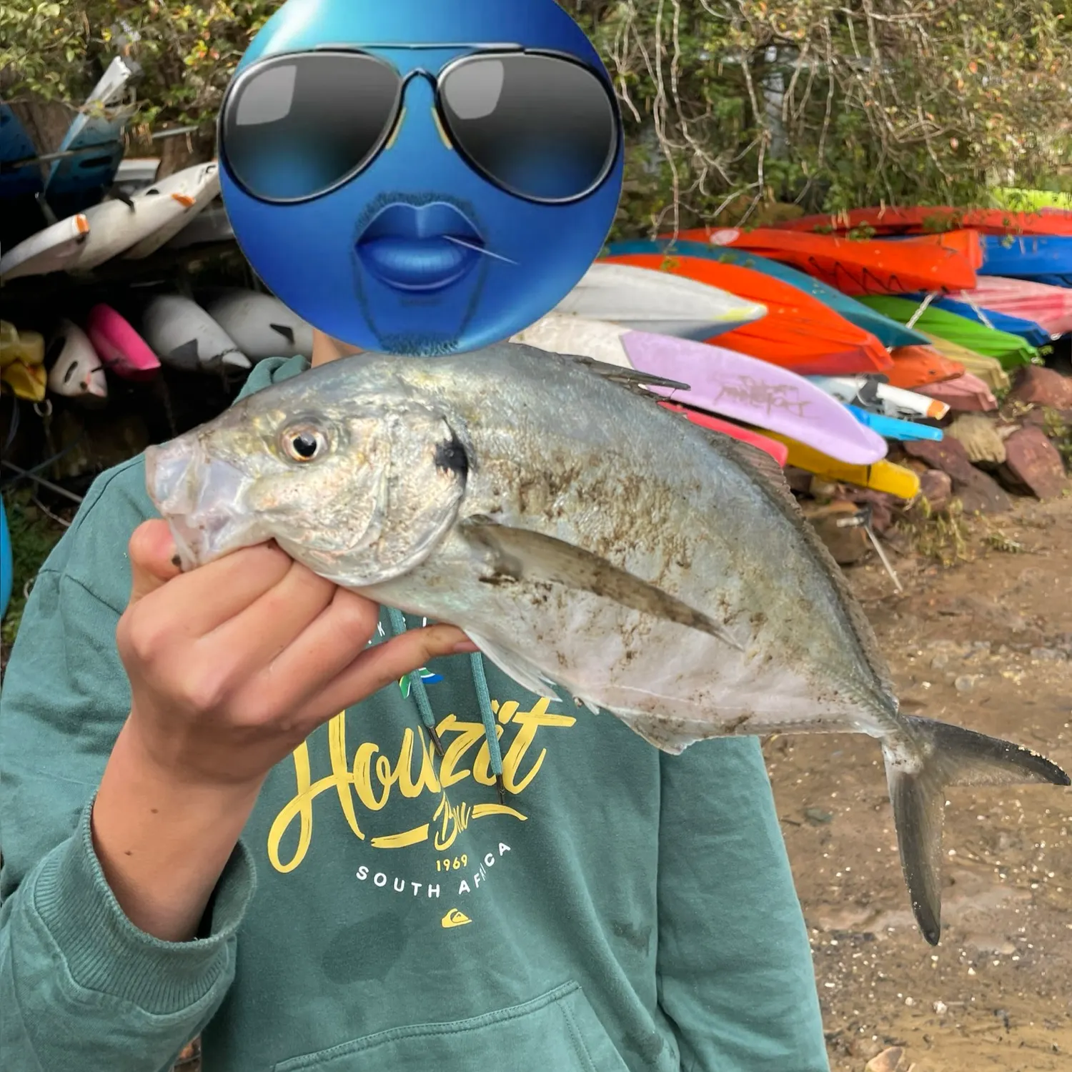 The most recent White trevally catches on Fishbrain