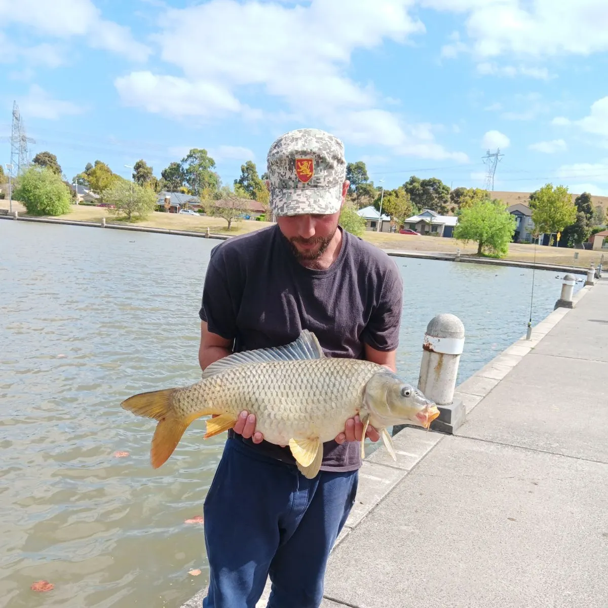 Common carp caught on Fishbrain