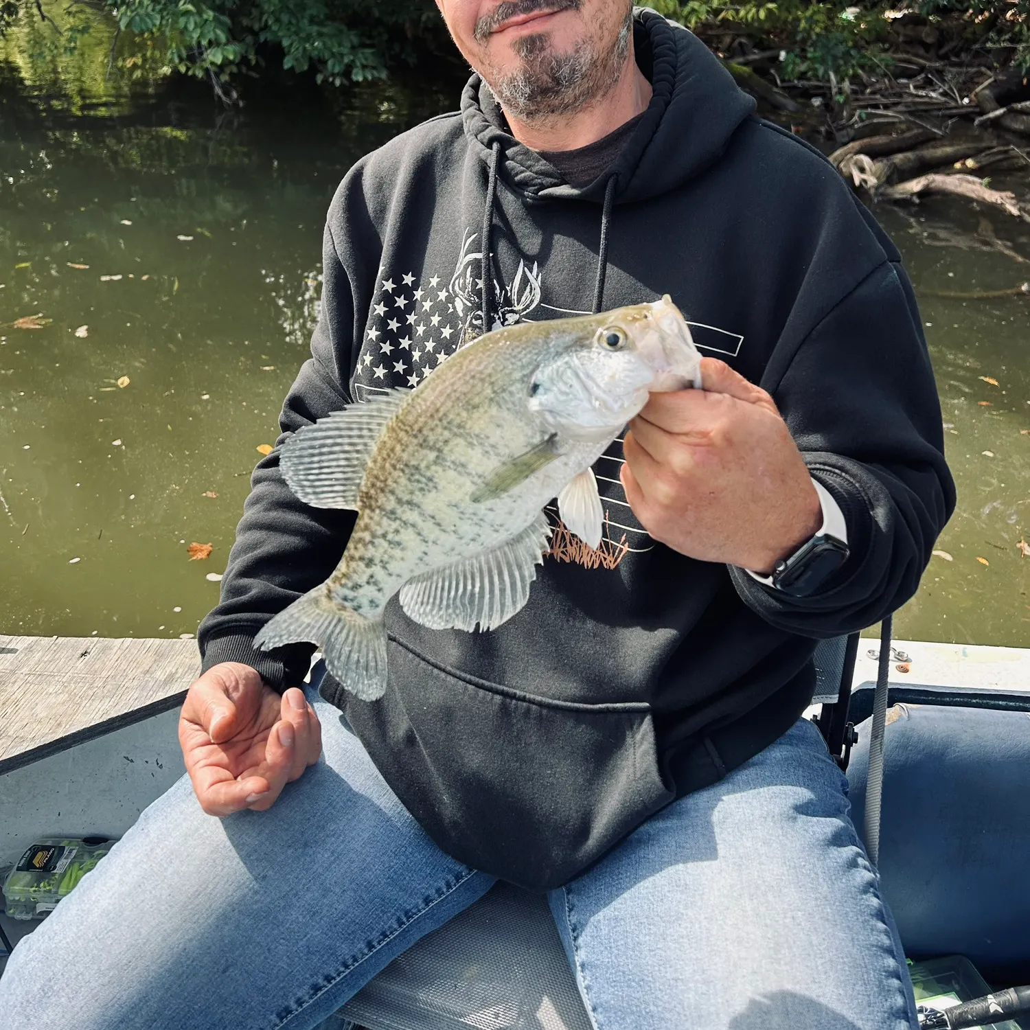 White crappie caught on Fishbrain