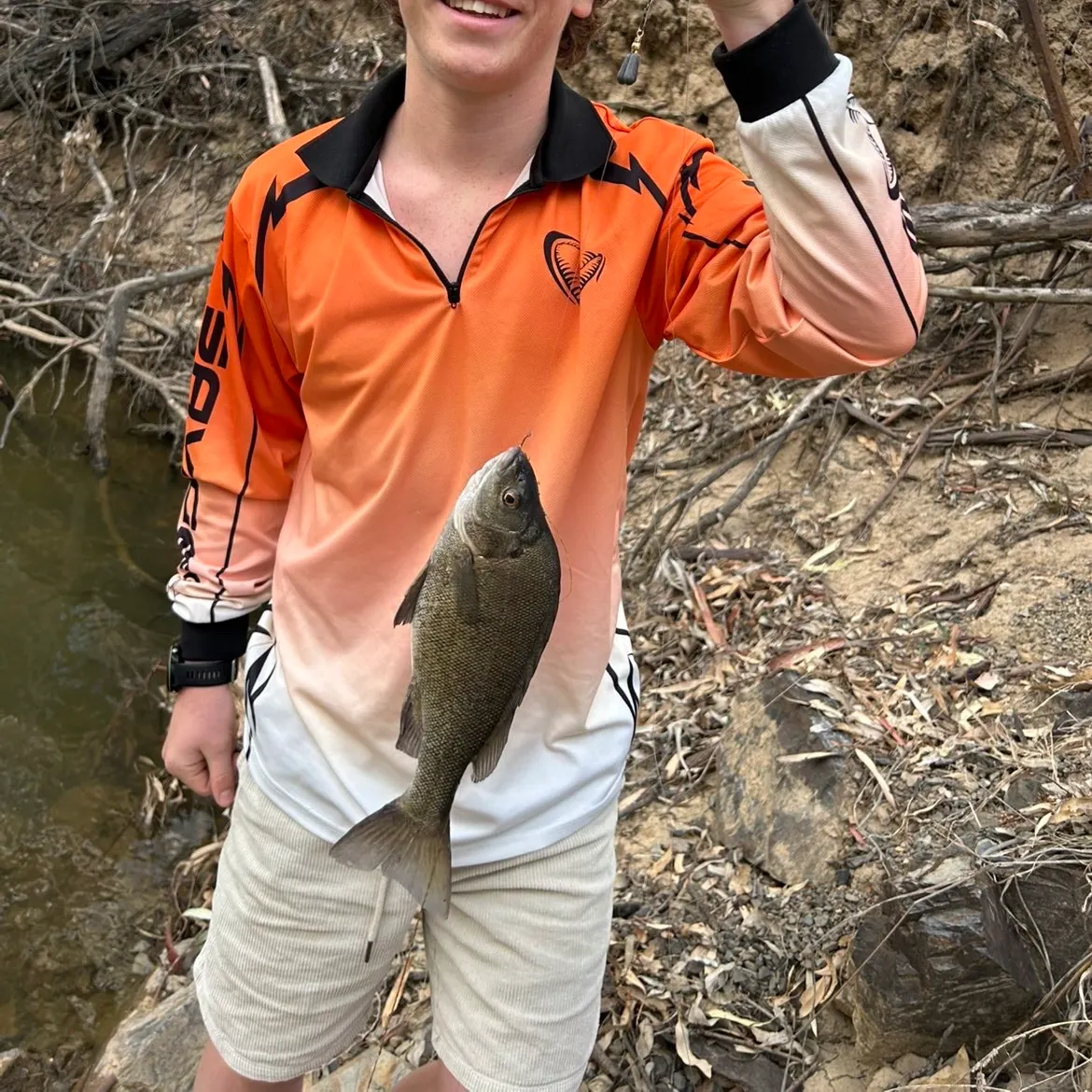 The most recent Bidyan perch catches on Fishbrain