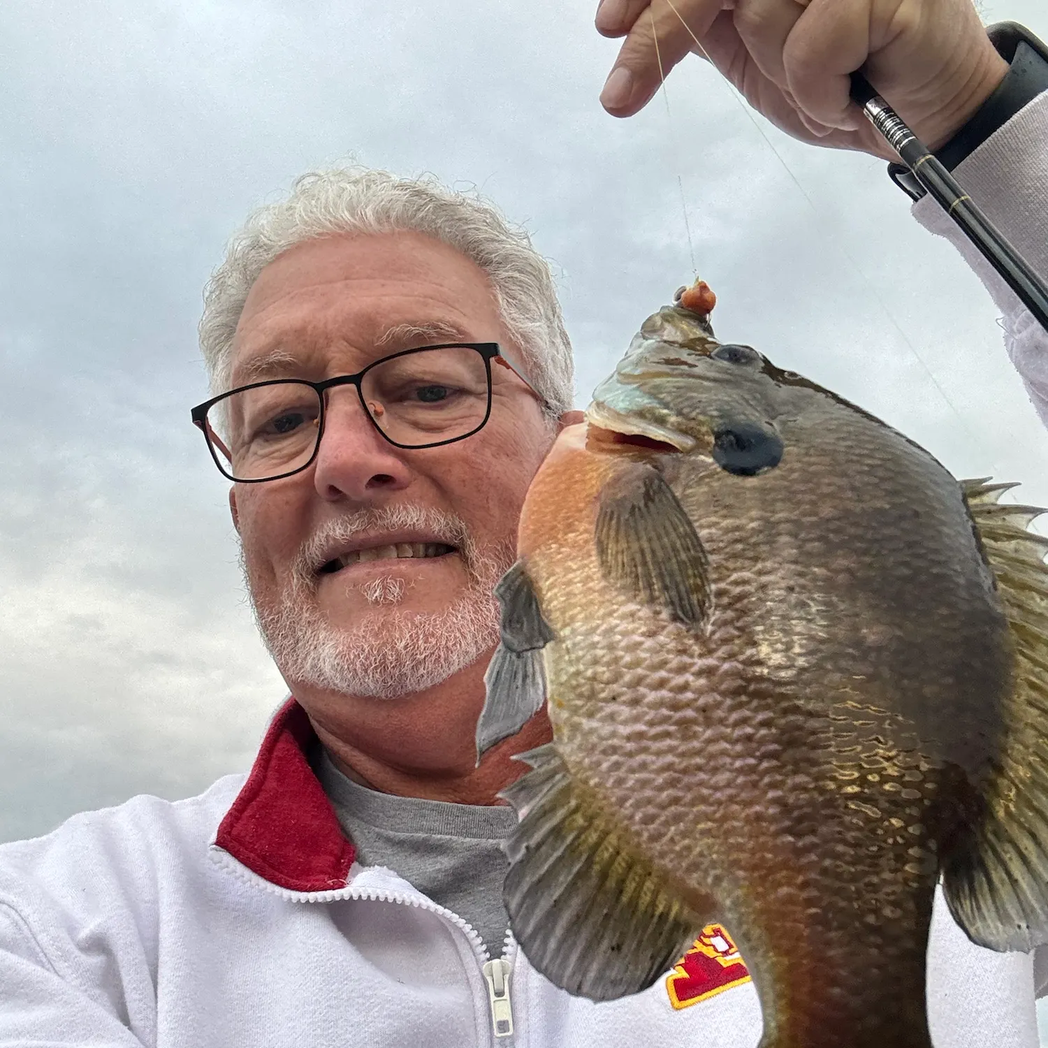 The most recent Bluegill catches on Fishbrain