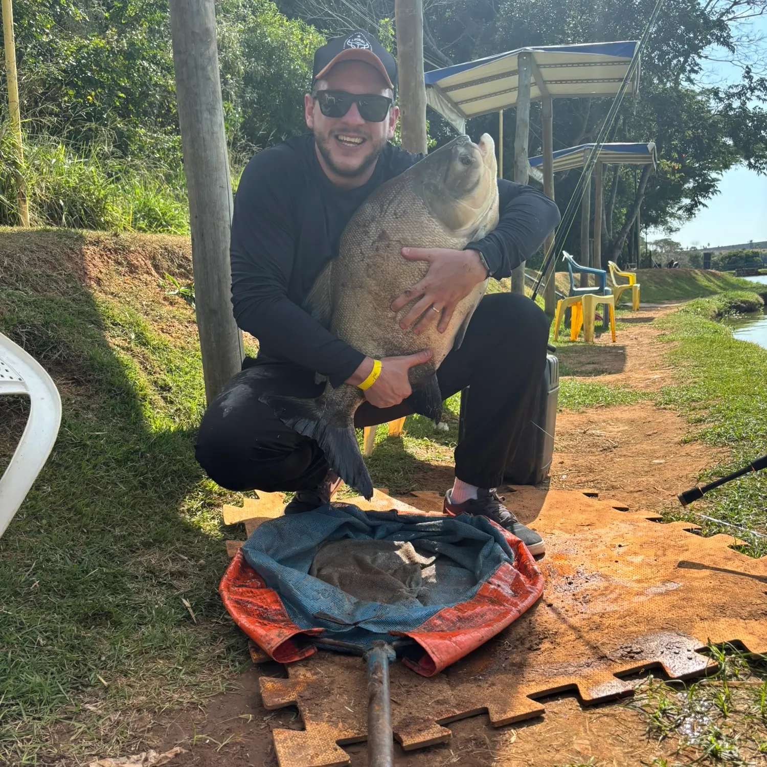 Black pacu caught on Fishbrain