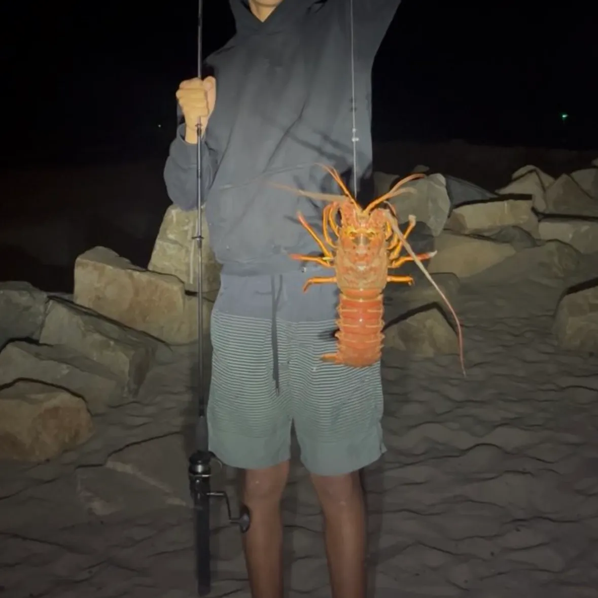 The most recent California spiny lobster catches on Fishbrain