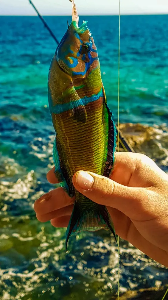 Post image from mikk992k