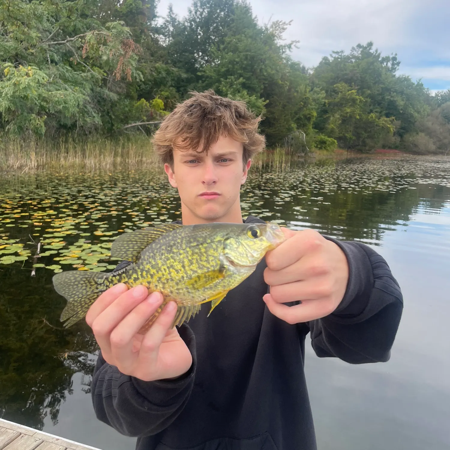 Black crappie caught on Fishbrain